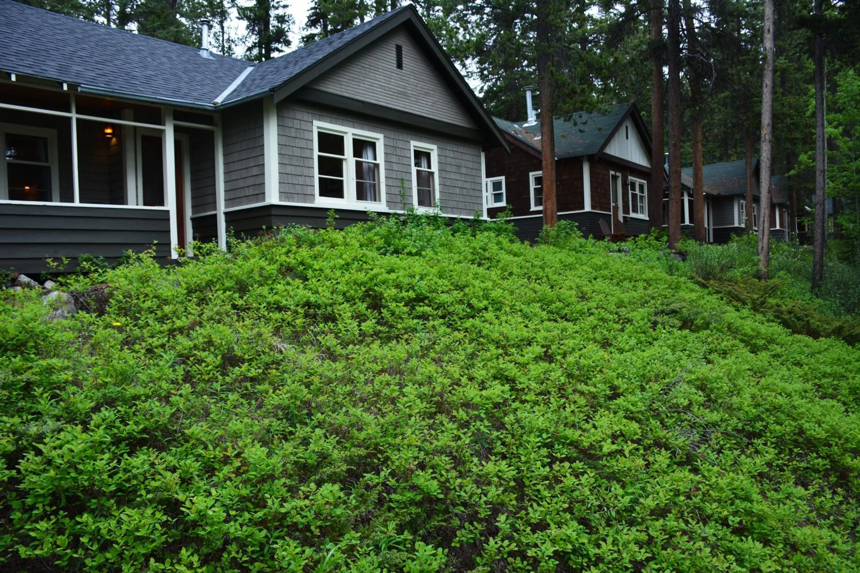 Property building in Johnston Canyon Lodge & Bungalows