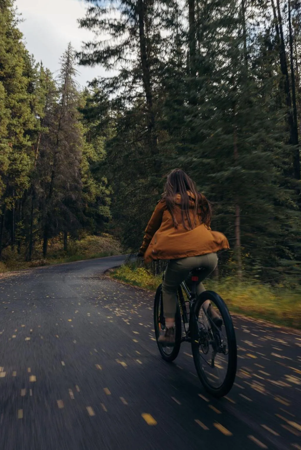 Cycling in Johnston Canyon Lodge & Bungalows
