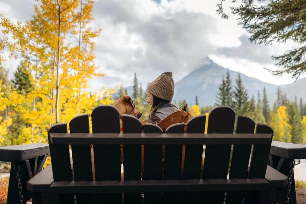 Garden in Johnston Canyon Lodge & Bungalows