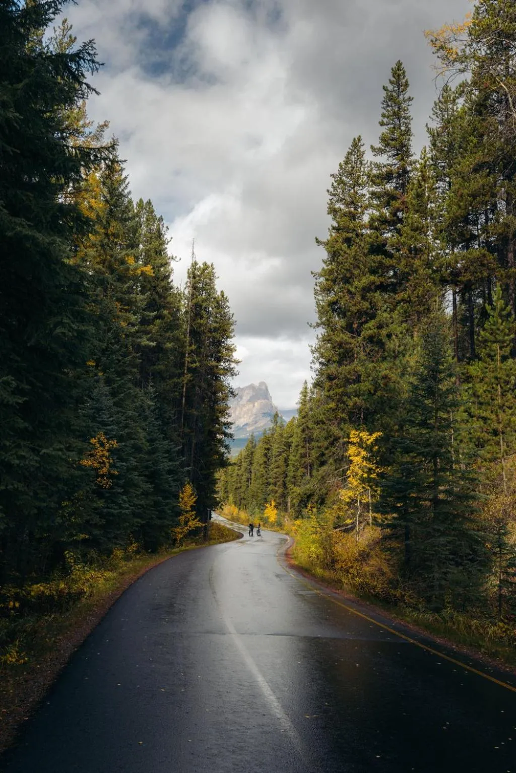 Cycling in Johnston Canyon Lodge & Bungalows