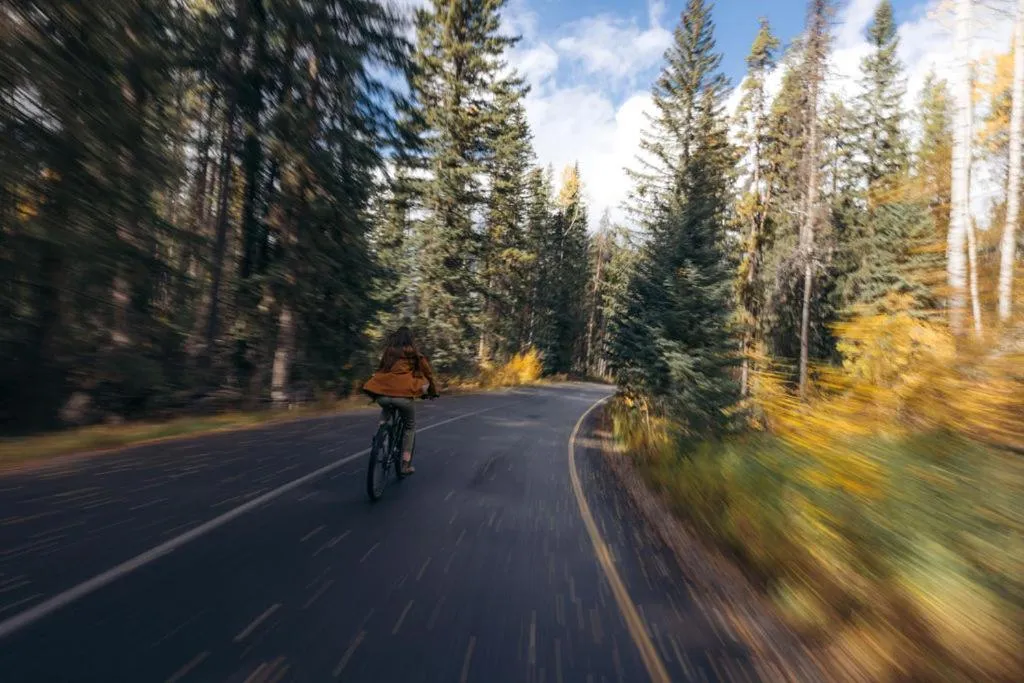 Cycling in Johnston Canyon Lodge & Bungalows