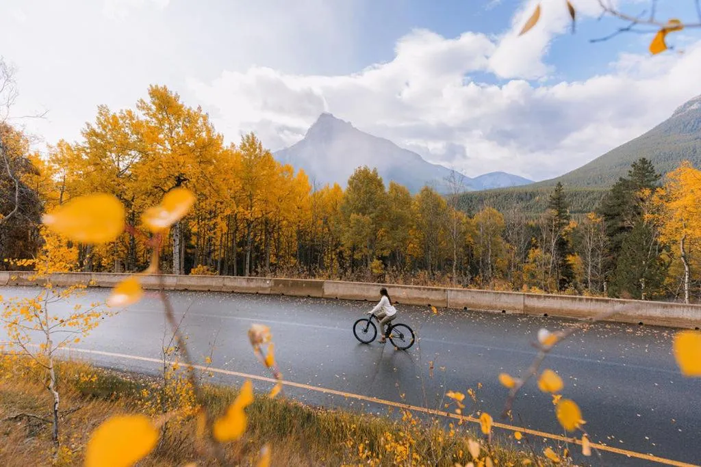 Cycling in Johnston Canyon Lodge & Bungalows