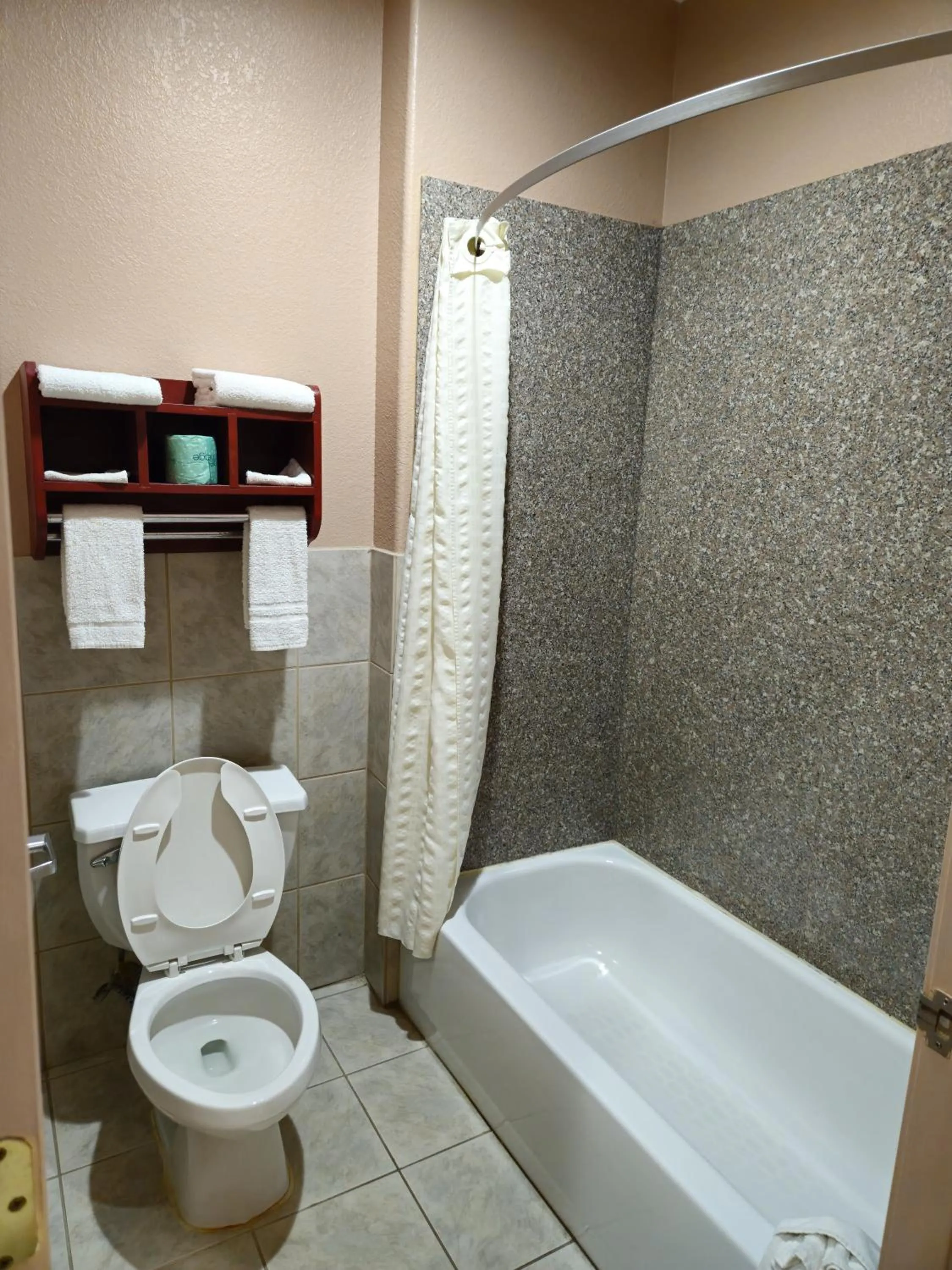 Bathroom in Budgetel Inn and Suites