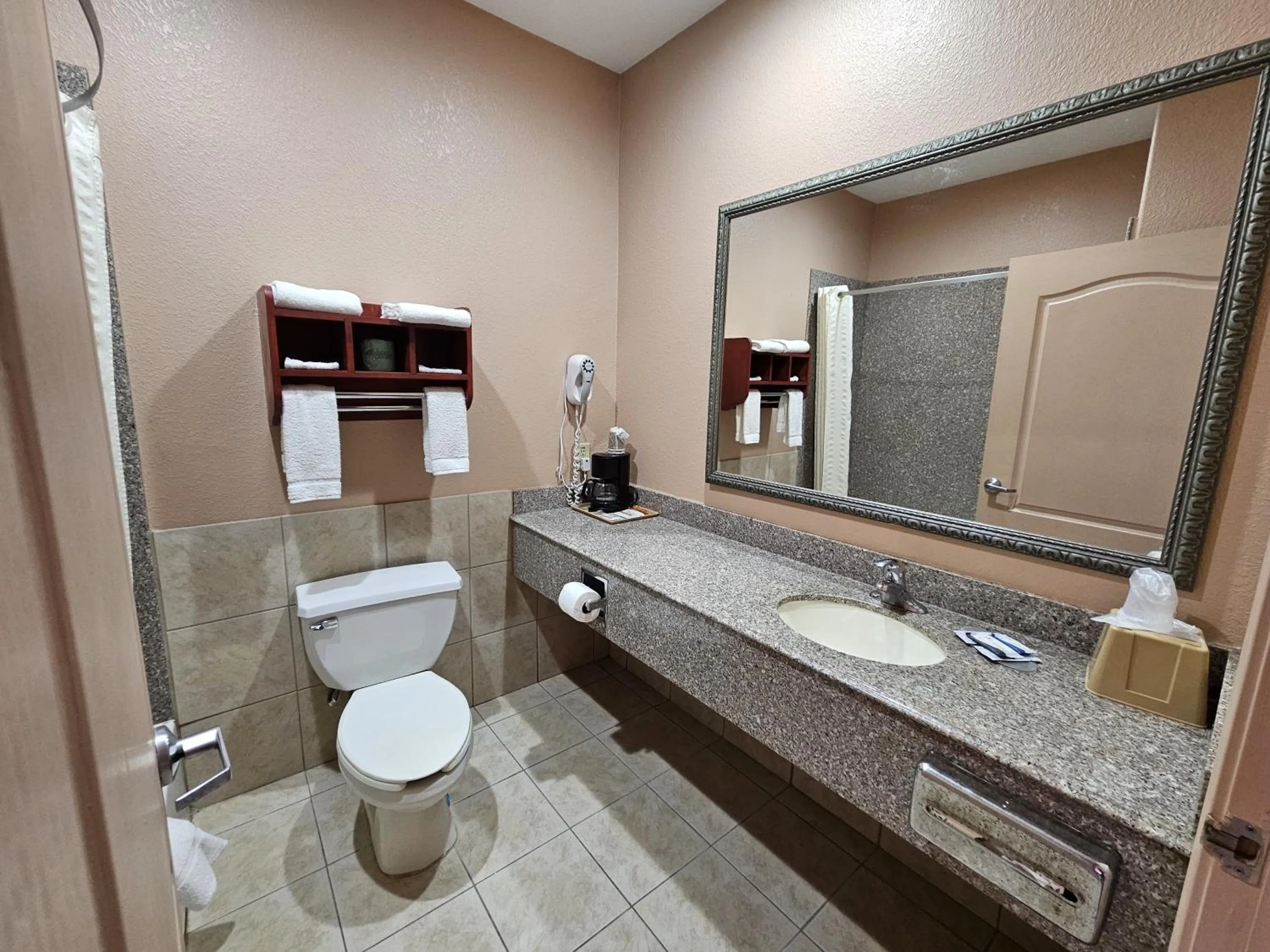 Bathroom in Budgetel Inn and Suites