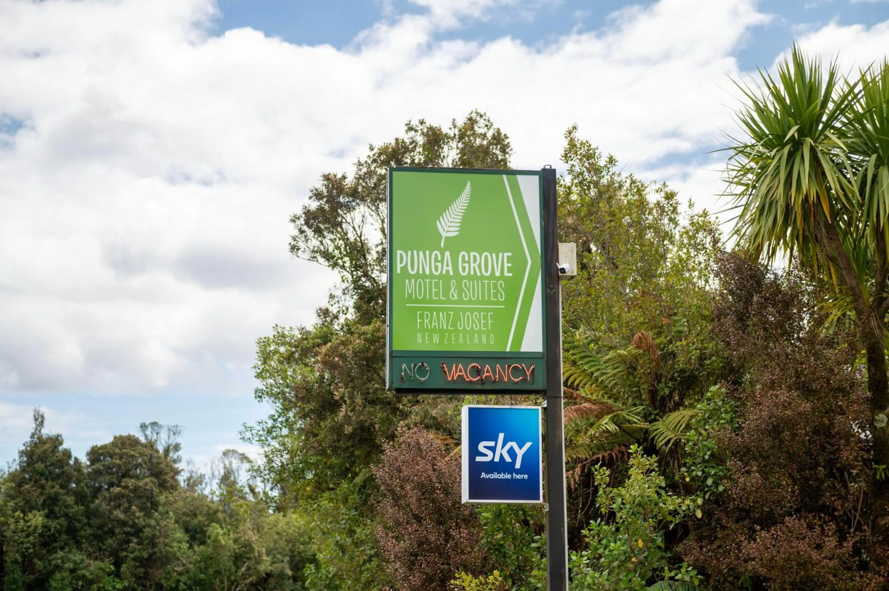 Property building in Punga Grove