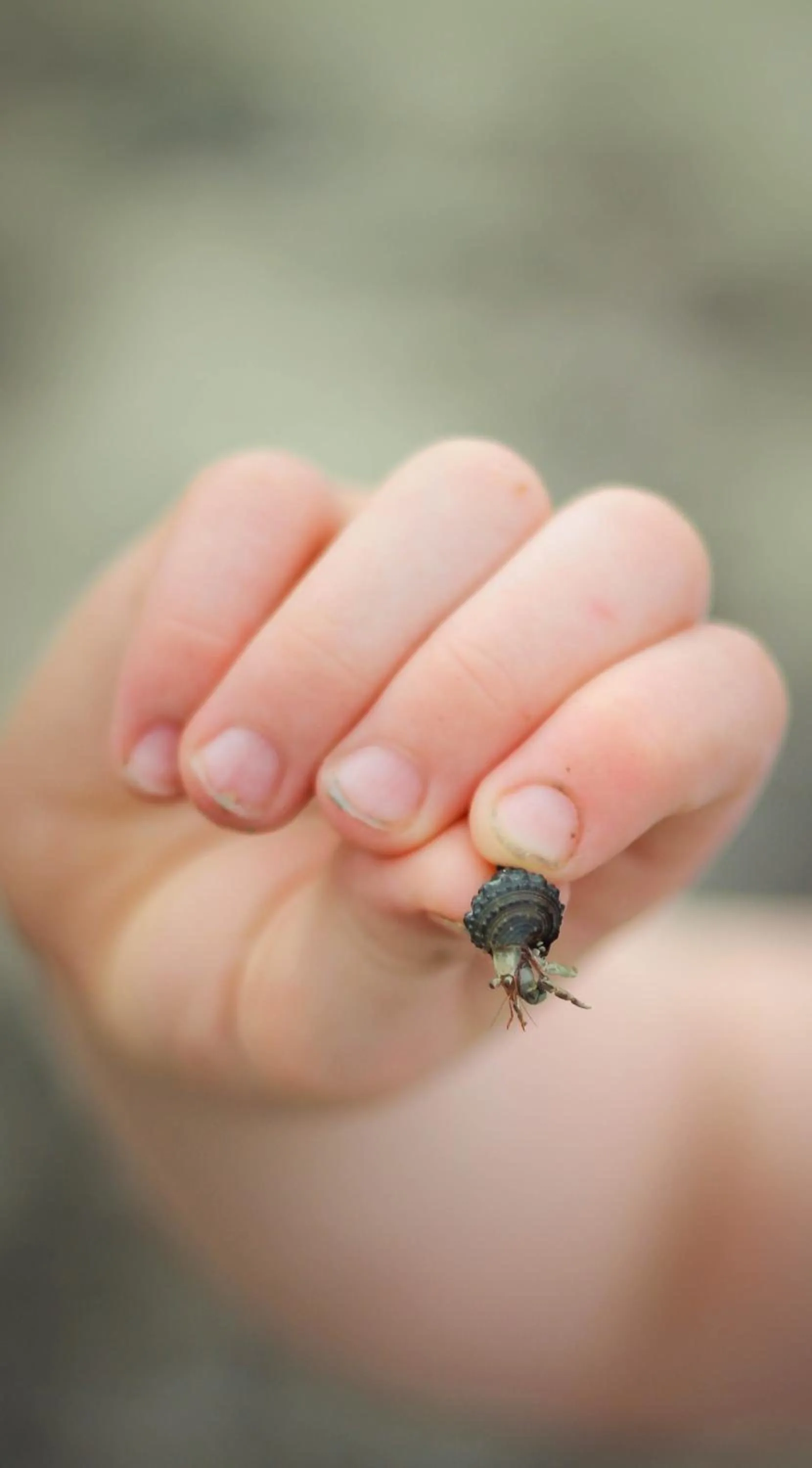 Koro Sun Resort & Rainforest Spa