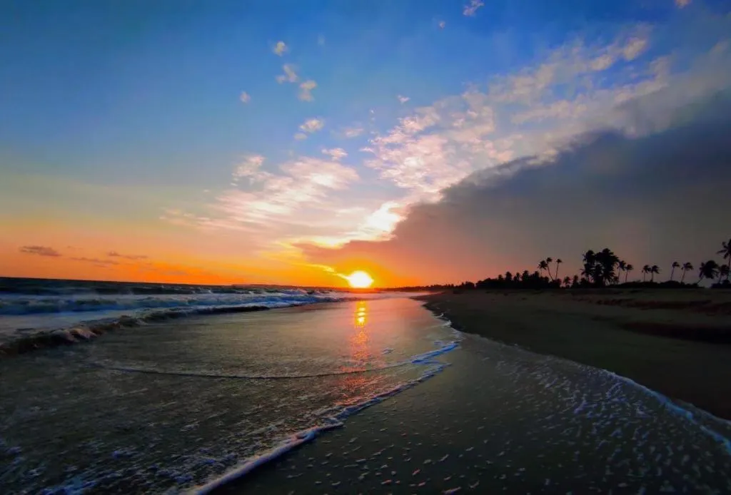 Seagulls Garden Cabanas