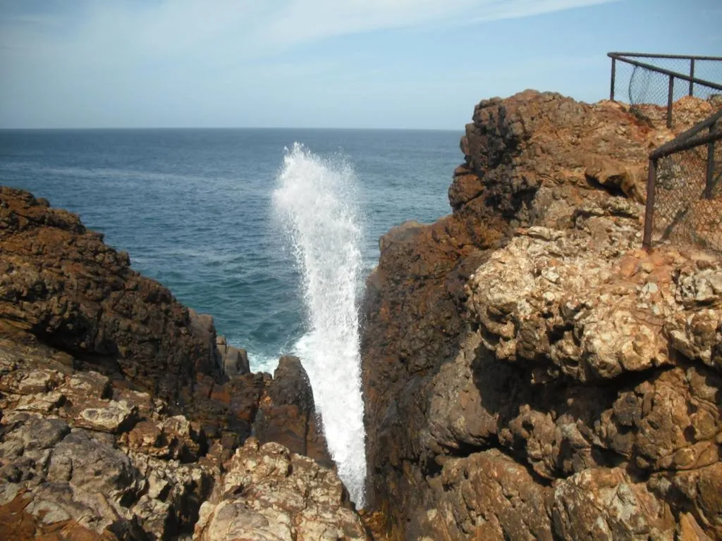 Natural landscape in Seagulls Garden Cabanas