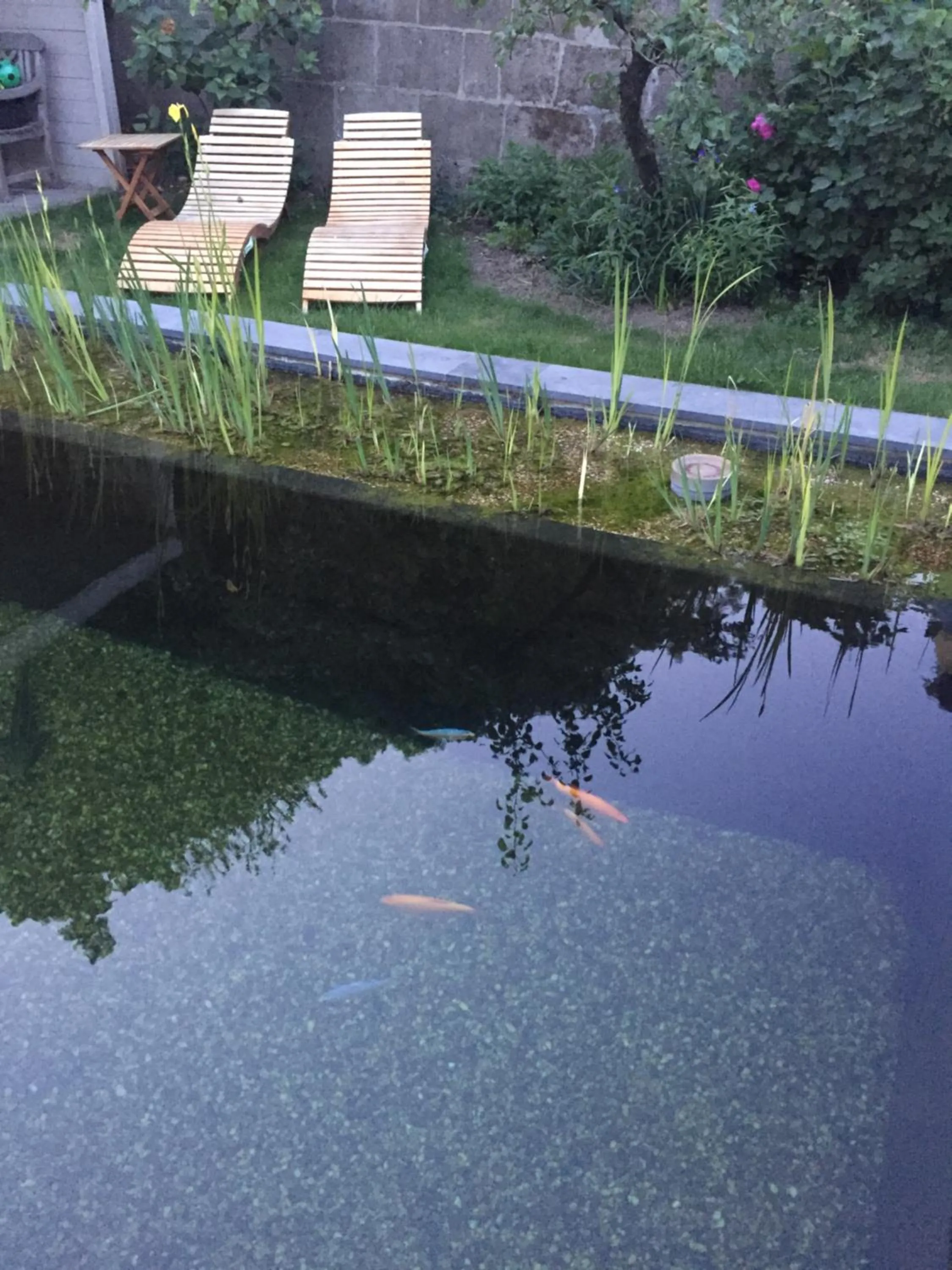 Hasselt City Garden Duplex