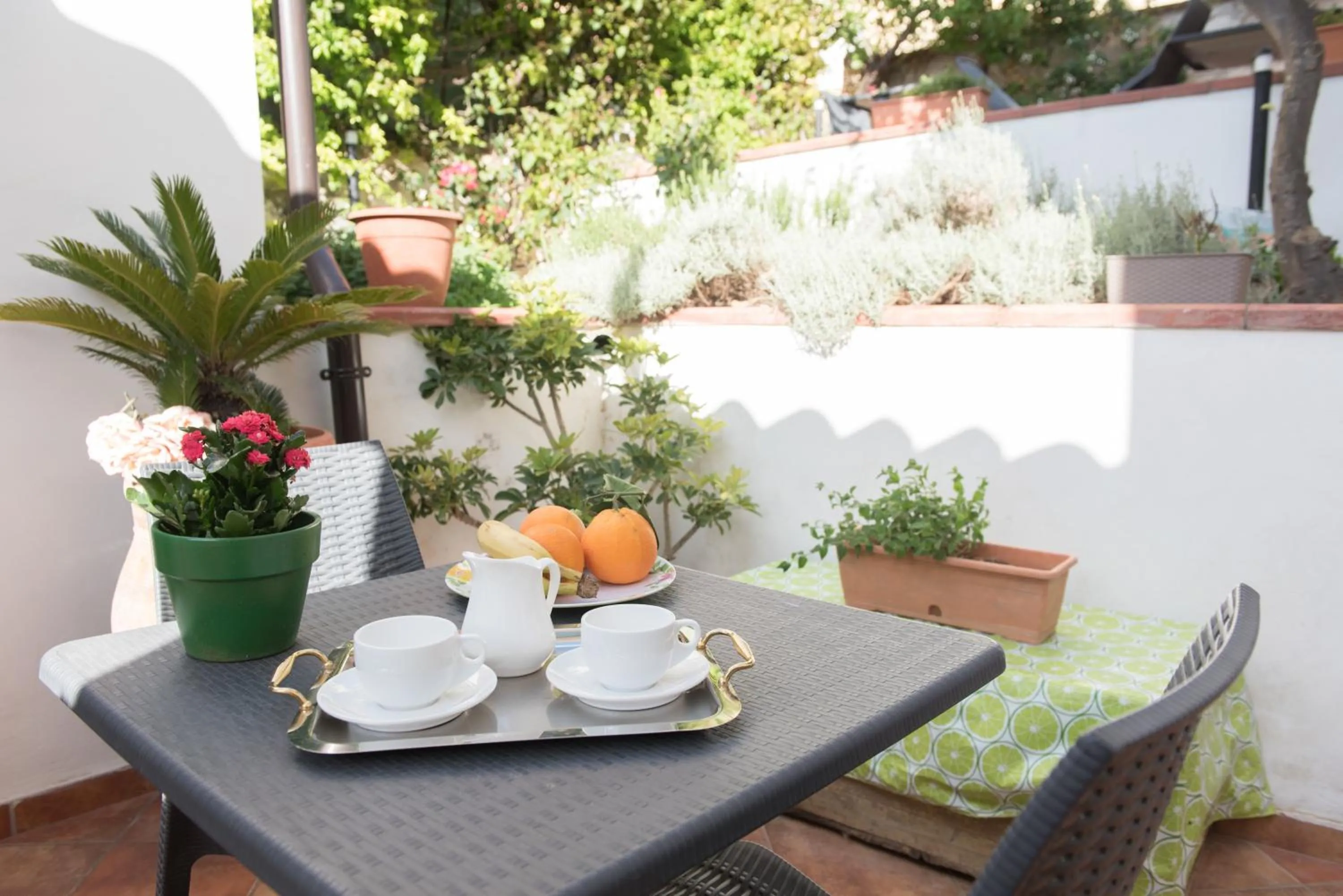 Garden in B&B Cafisu