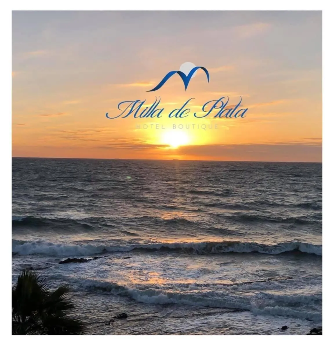 Hotel Boutique Milla de Plata