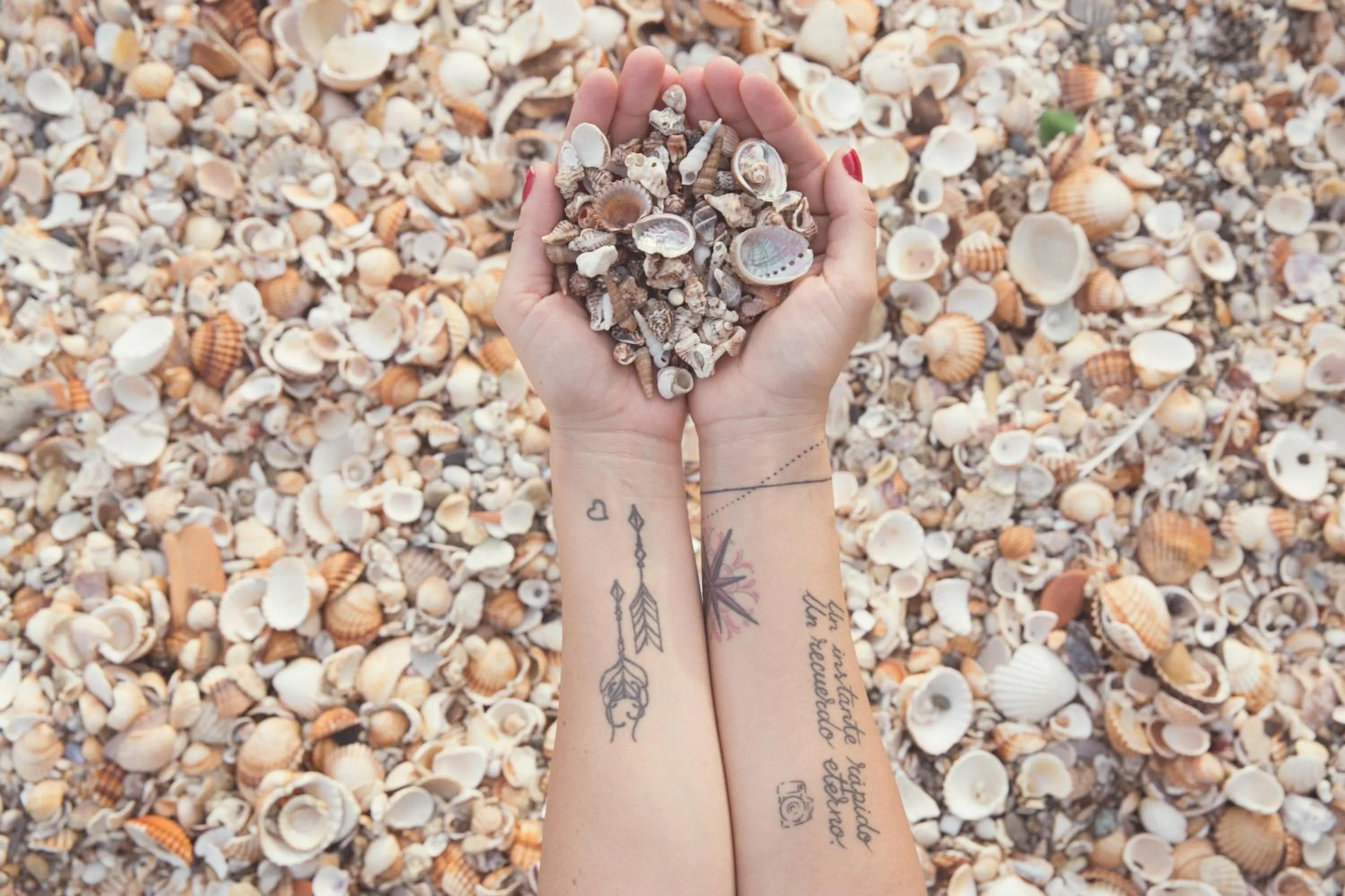 People in Hotel Boutique Milla de Plata