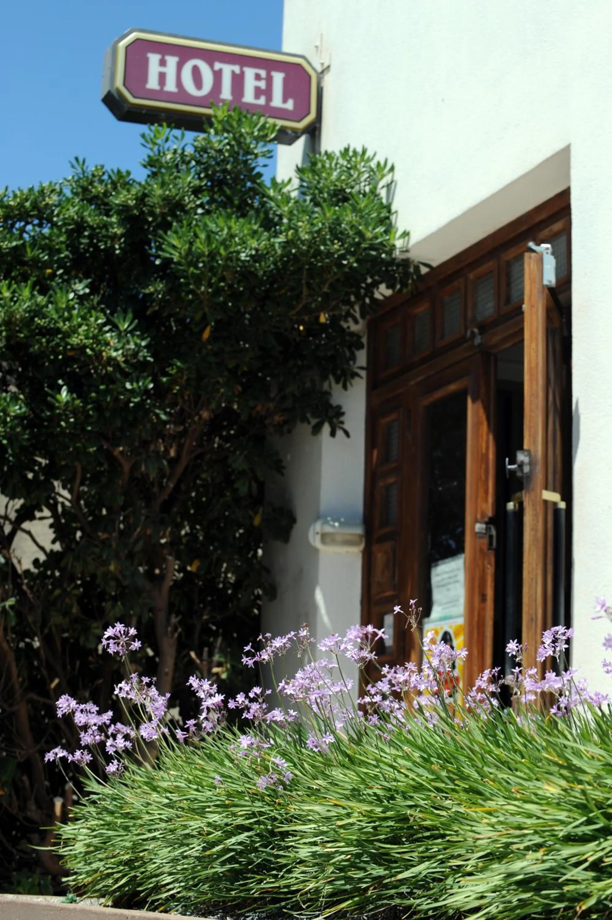 View (from property/room) in Hôtel du Midi Plage