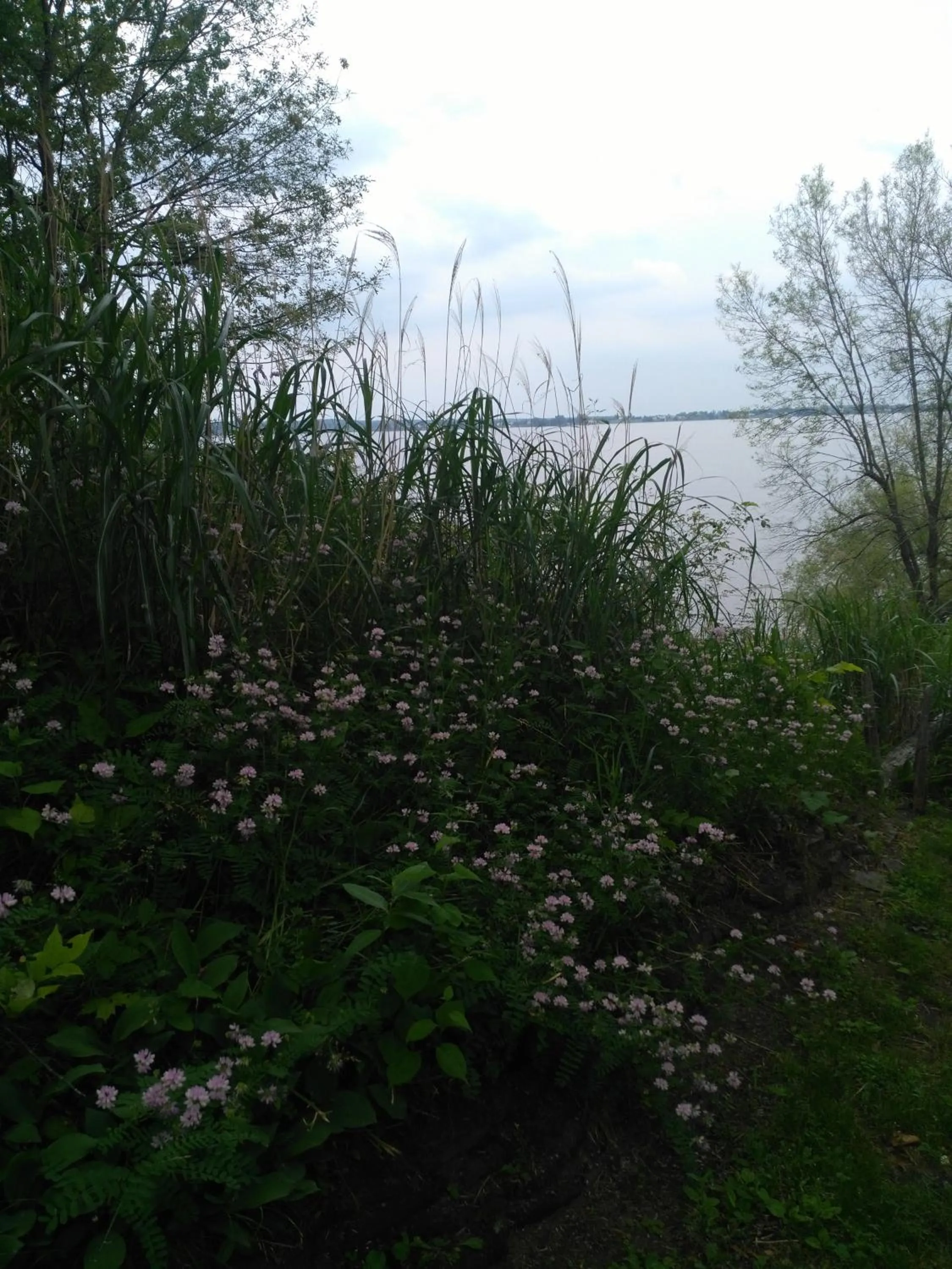 Maison sur la plage TERRE-MÈRE