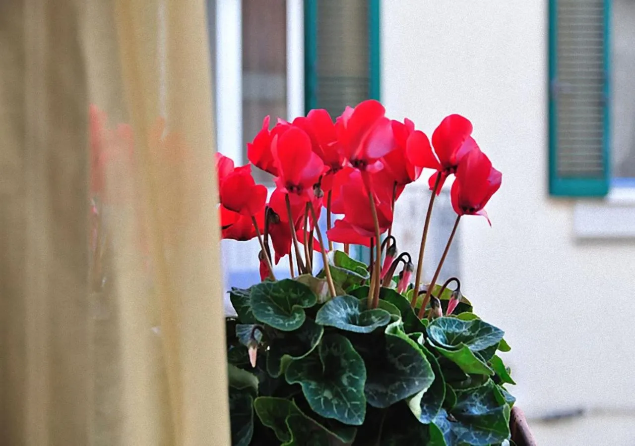 Donna Eleonora Residence