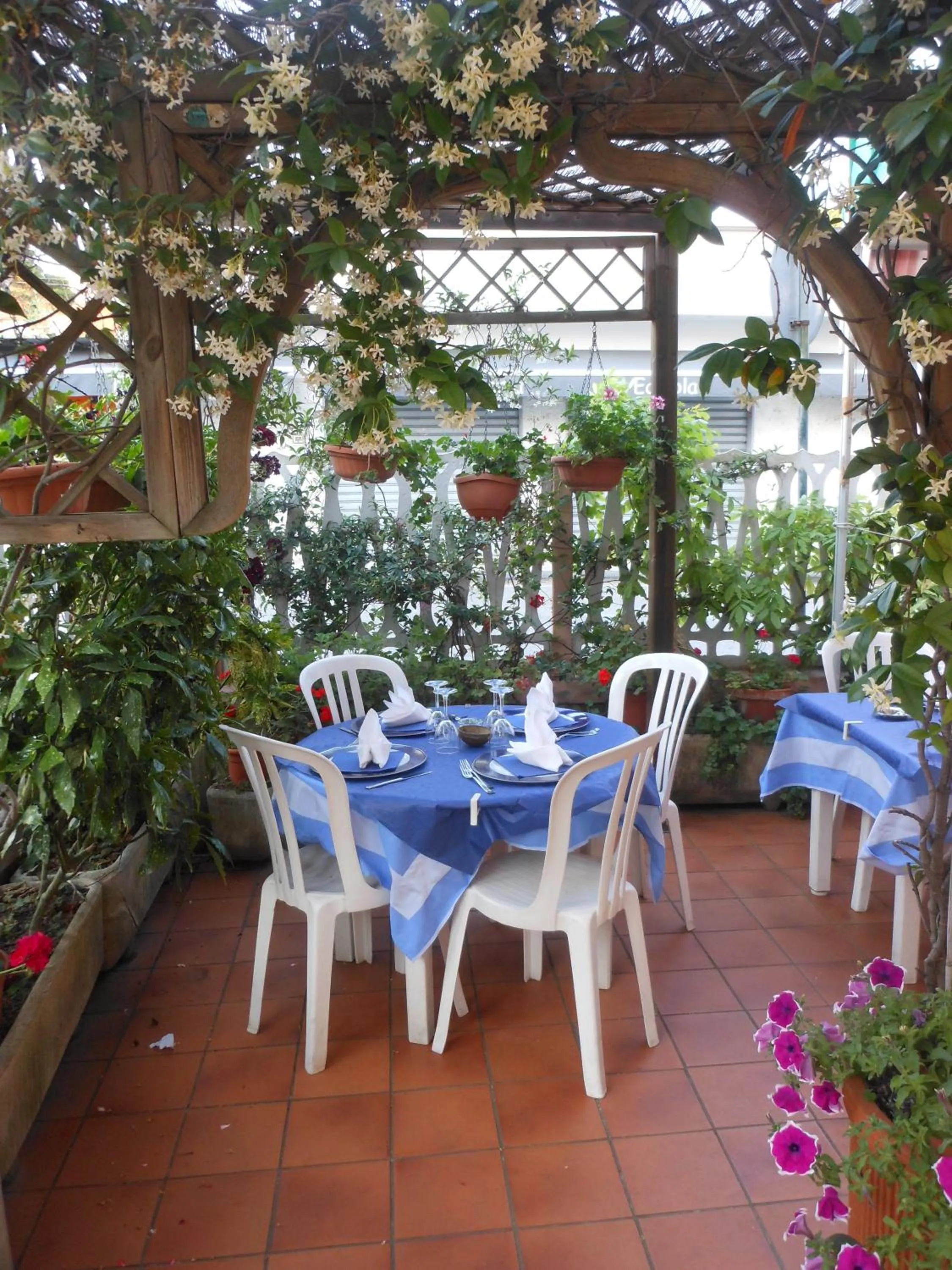 Dining area in Hotel Fiammetta