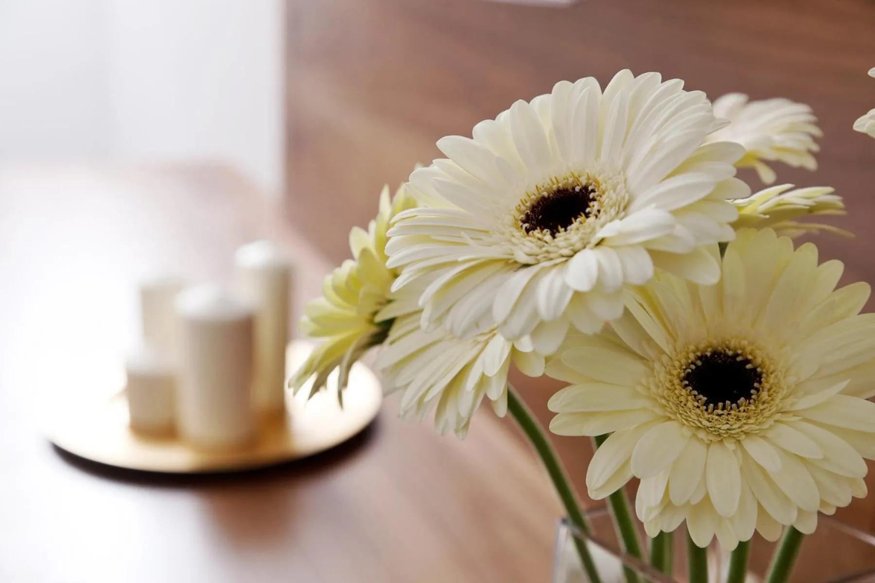 Other in Hotel Garni Mirabell