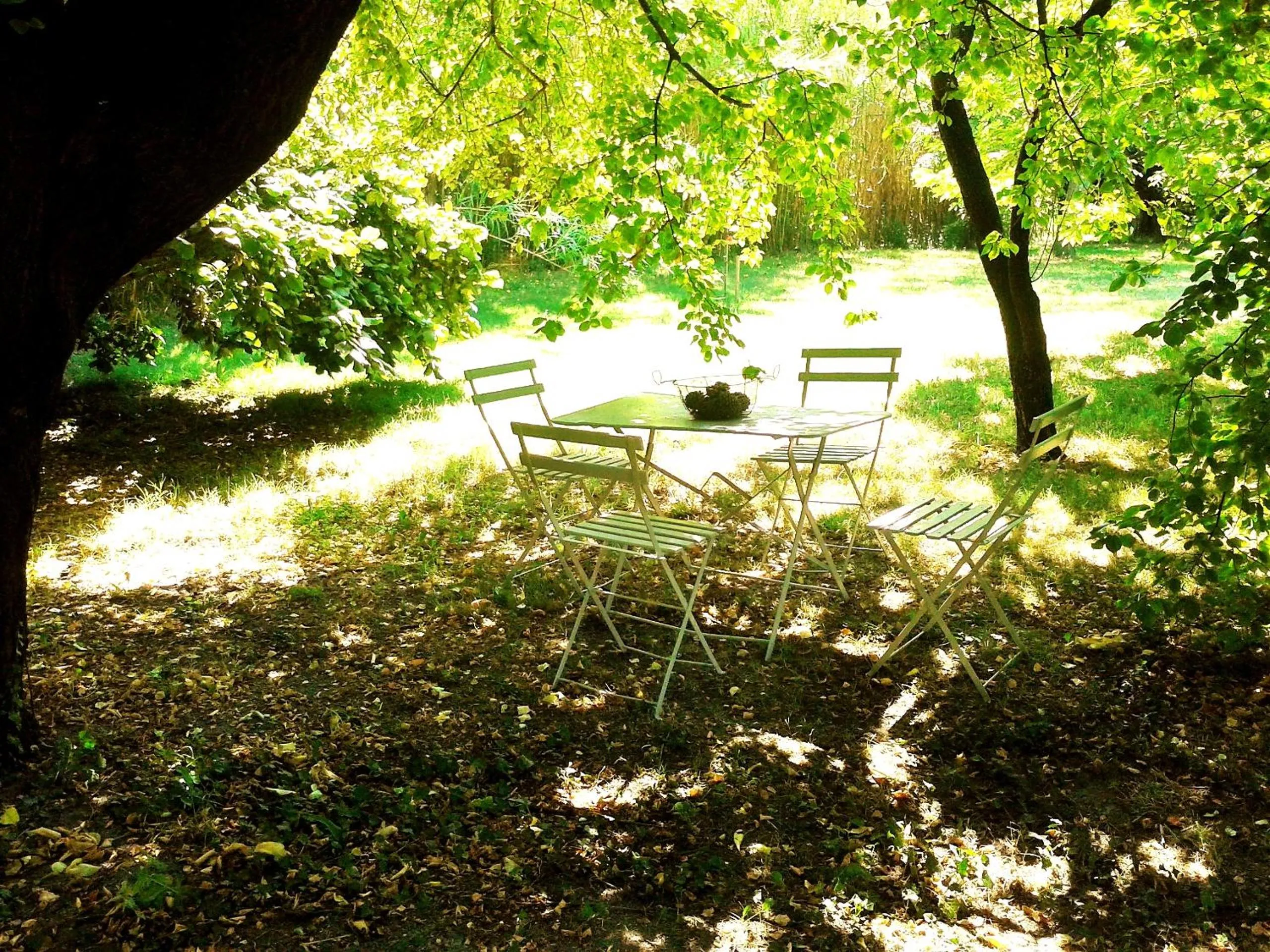 Garden in les trésors de malle mialle
