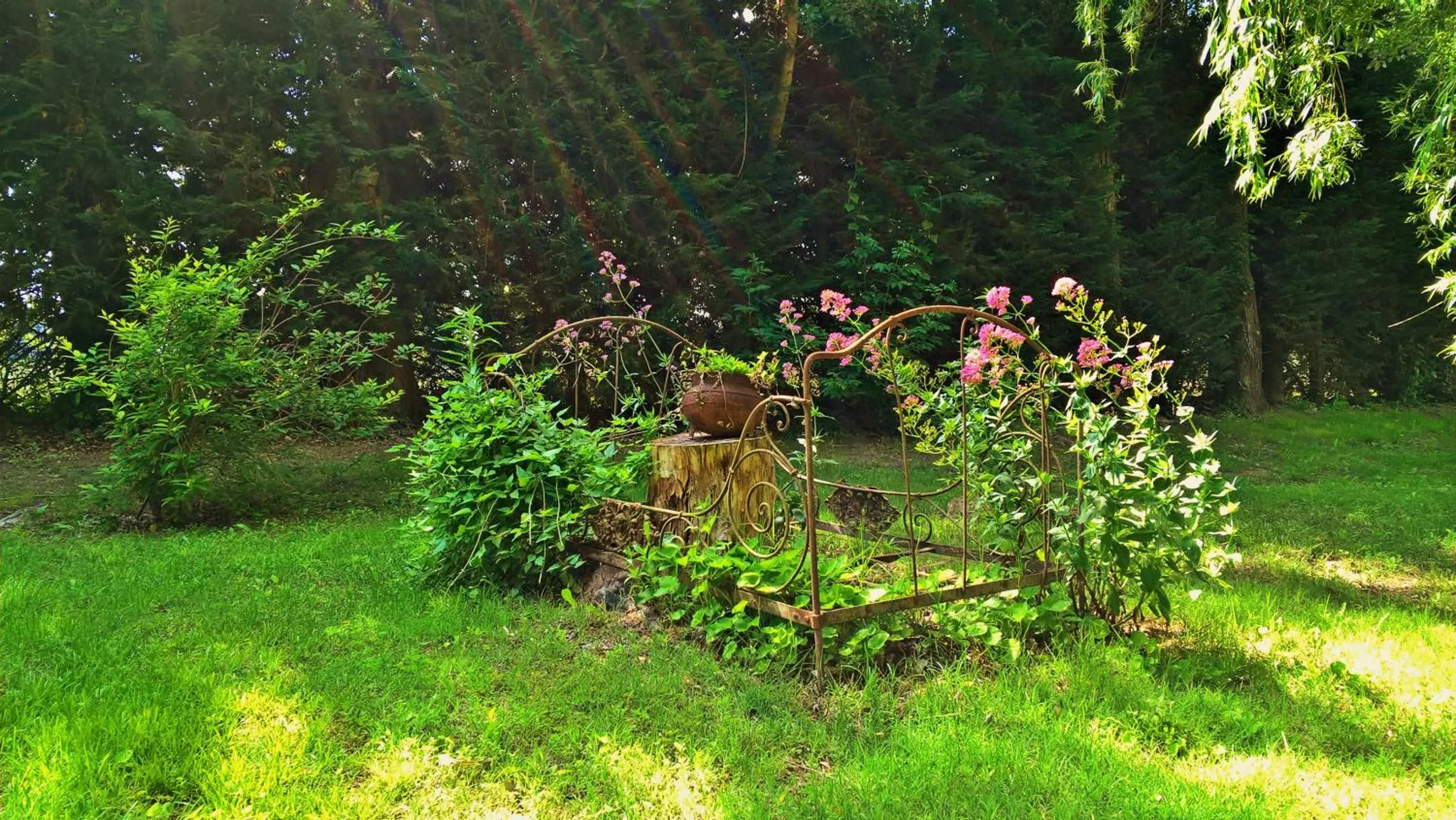 Garden in les trésors de malle mialle