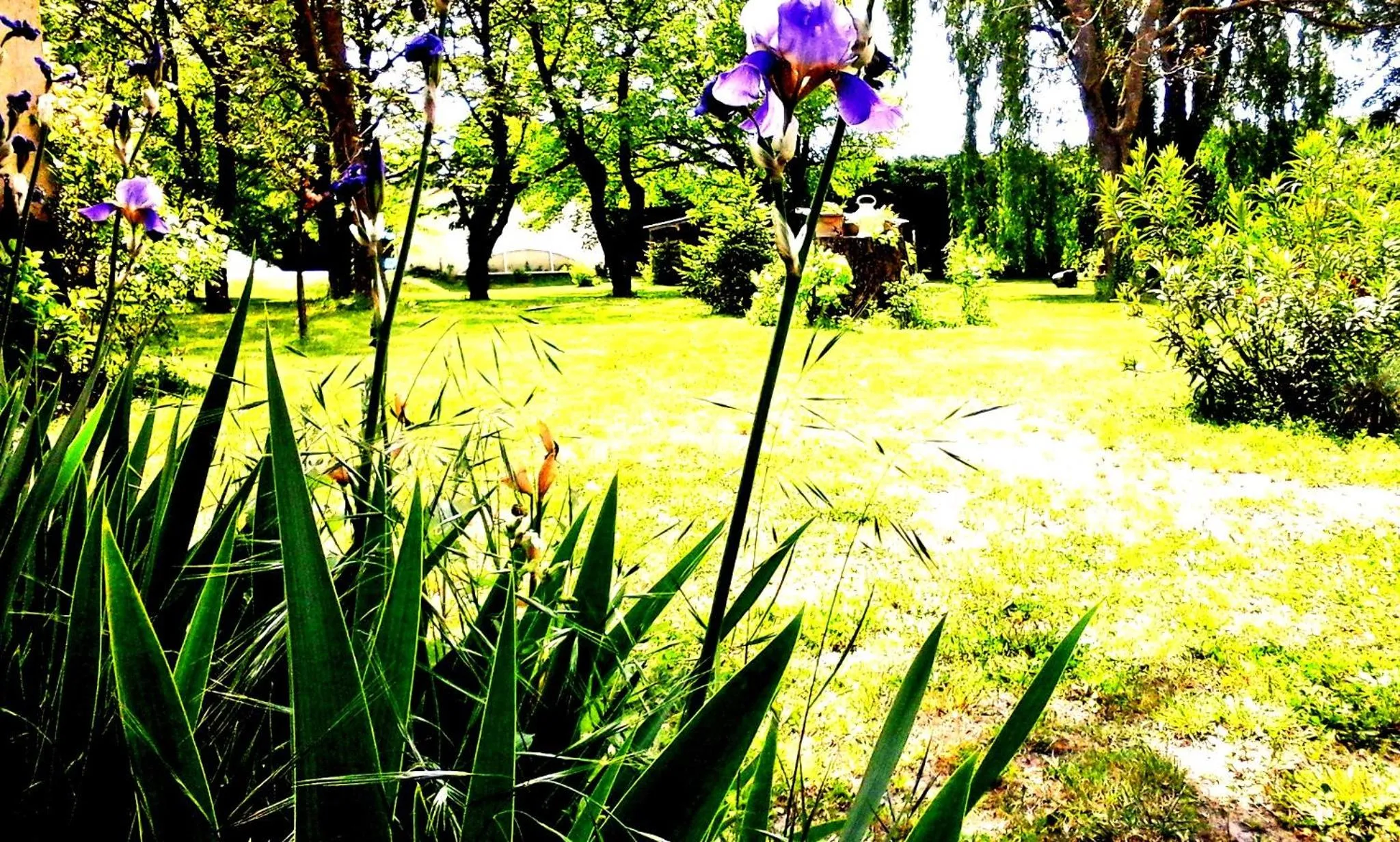 People in les trésors de malle mialle