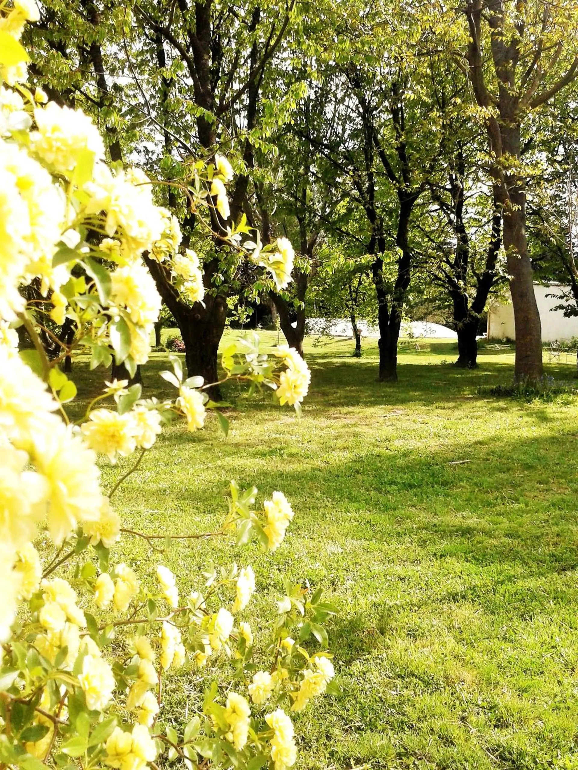 People in les trésors de malle mialle