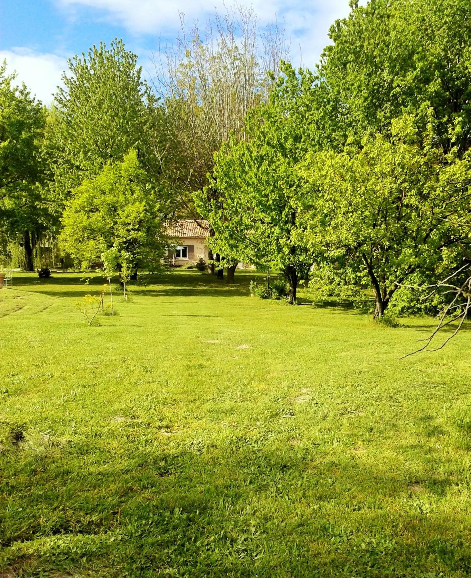Garden in les trésors de malle mialle