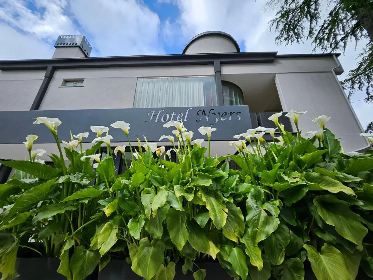 Property building in Albergo Nyers