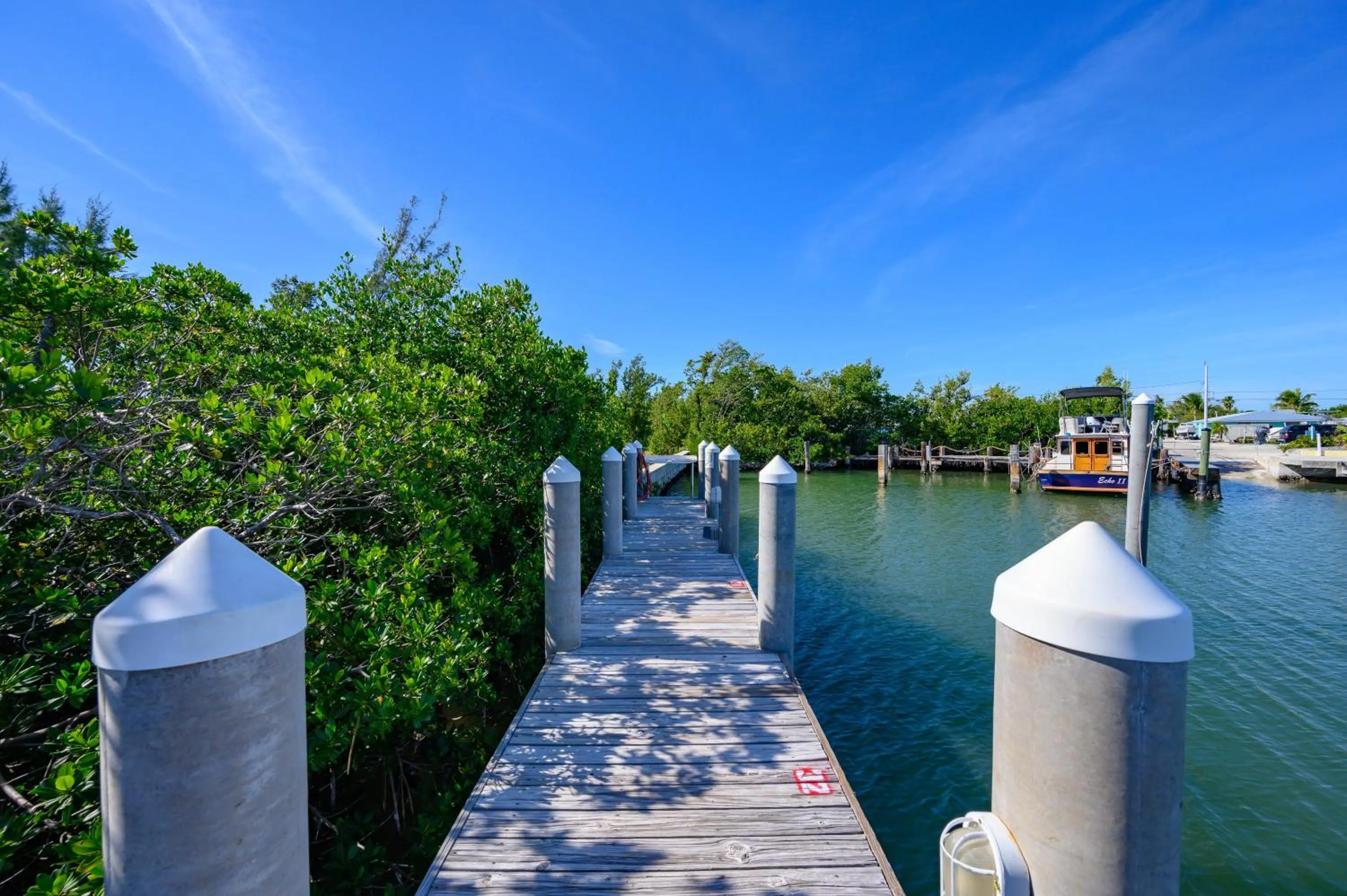 Natural landscape in Coco Plum Beach & Tennis Club & Marina