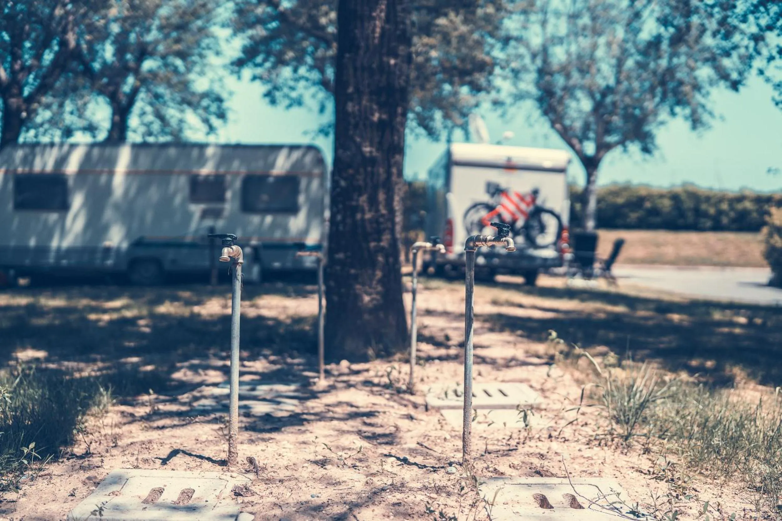 Garden in Club del Sole Tenuta Primero Grado Family Collection