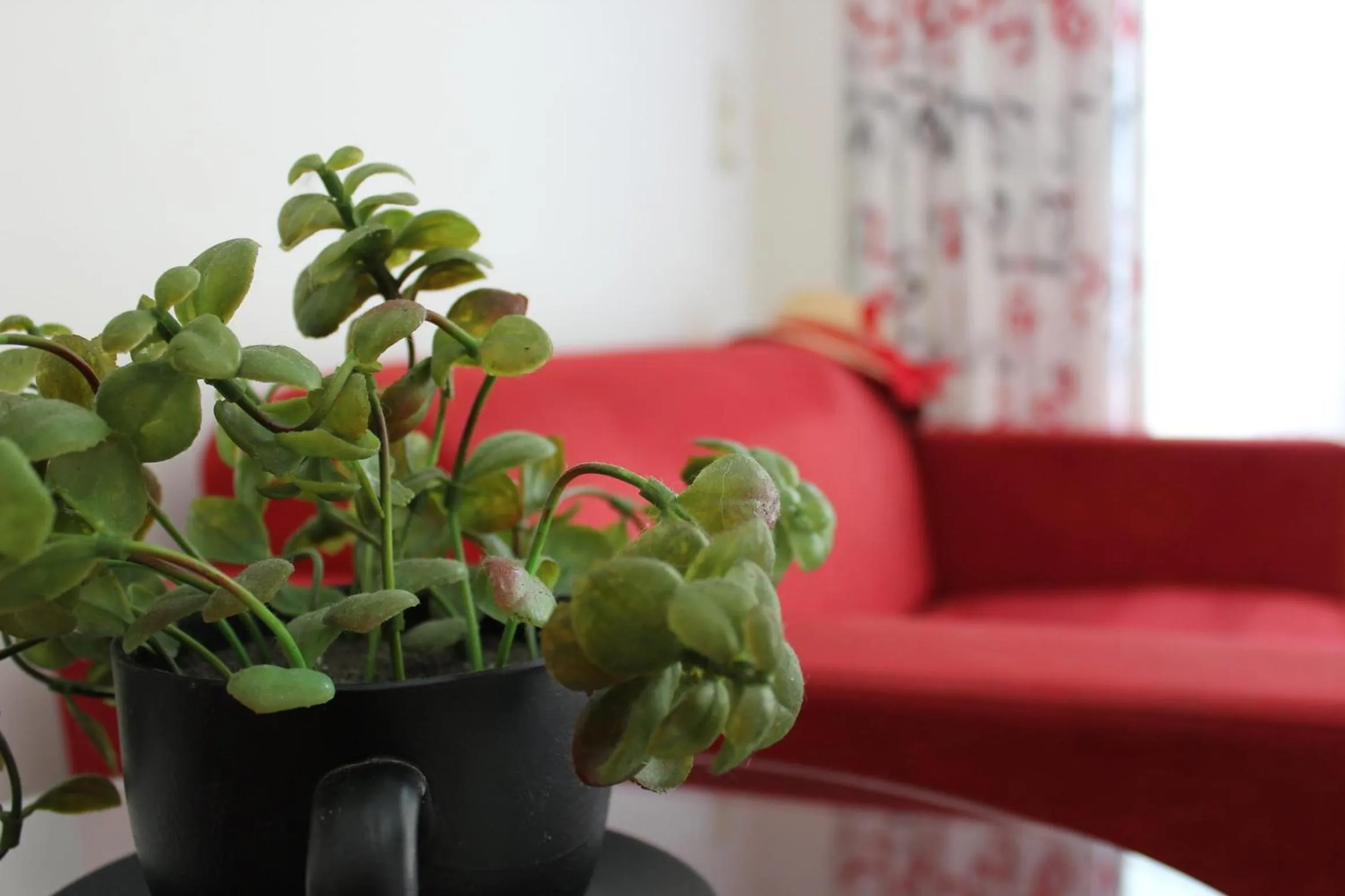 Lobby or reception in Filmar Hotel, Ixia, Rhodes