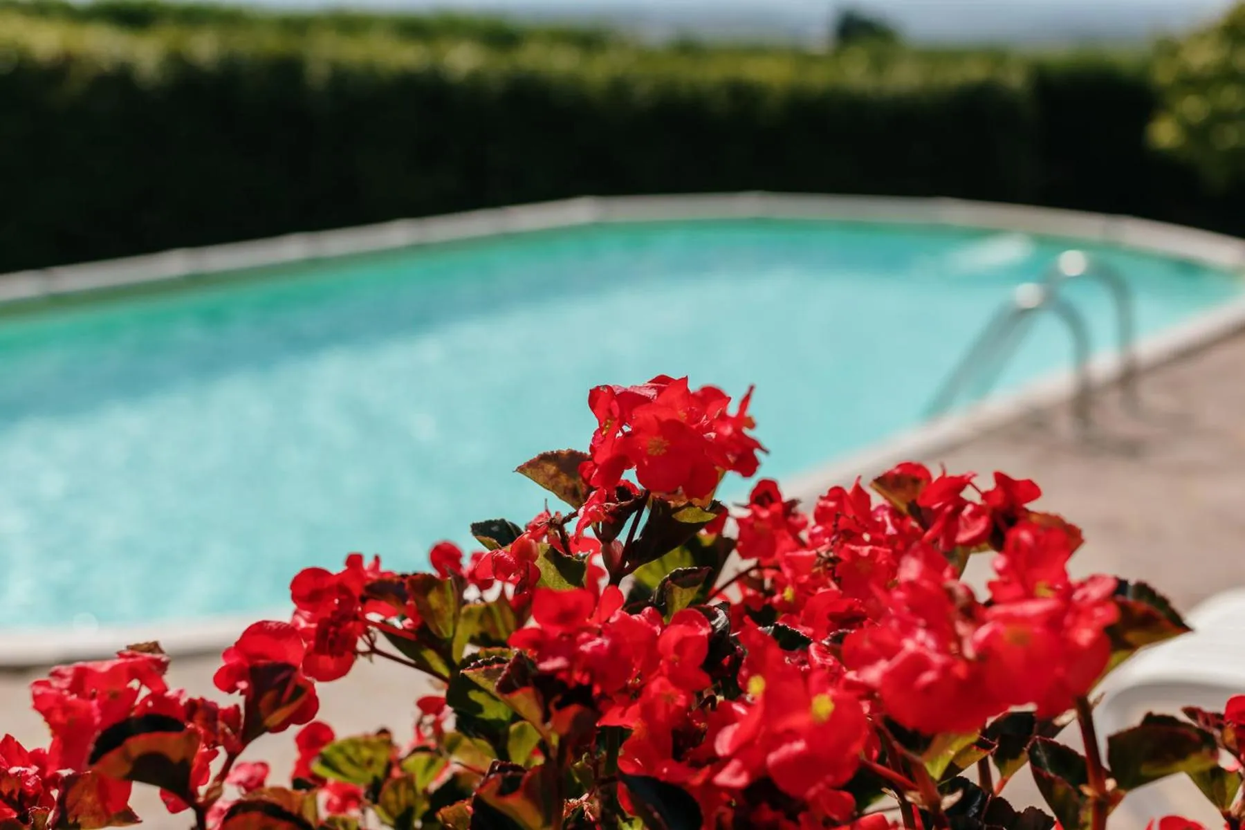 Swimming pool in Villa Di Sotto