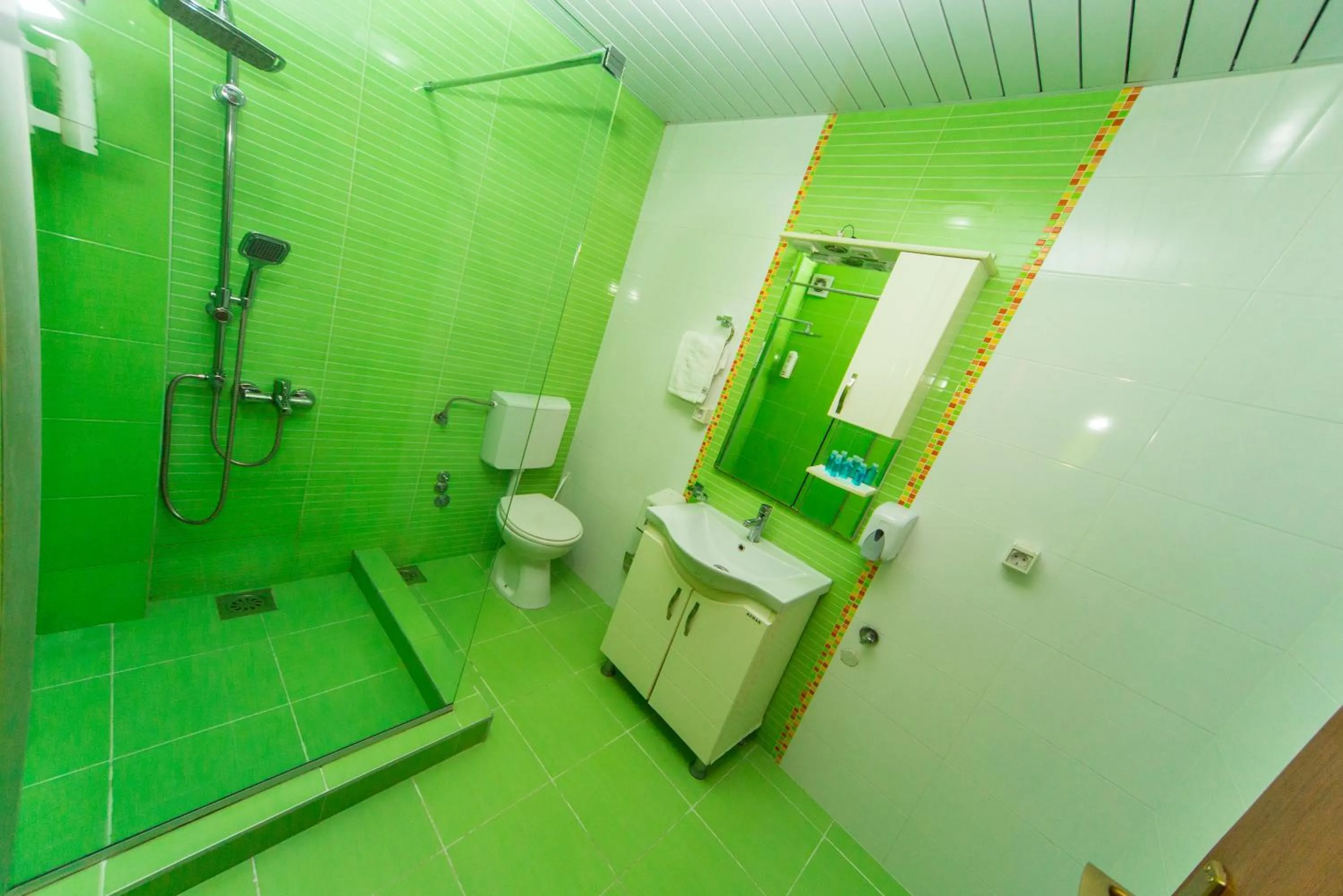 Toilet in Hotel Pine