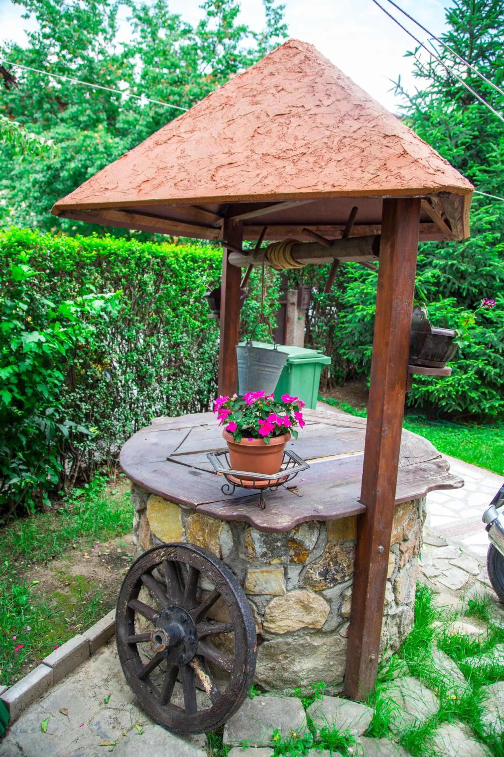 Garden in Hotel Pine