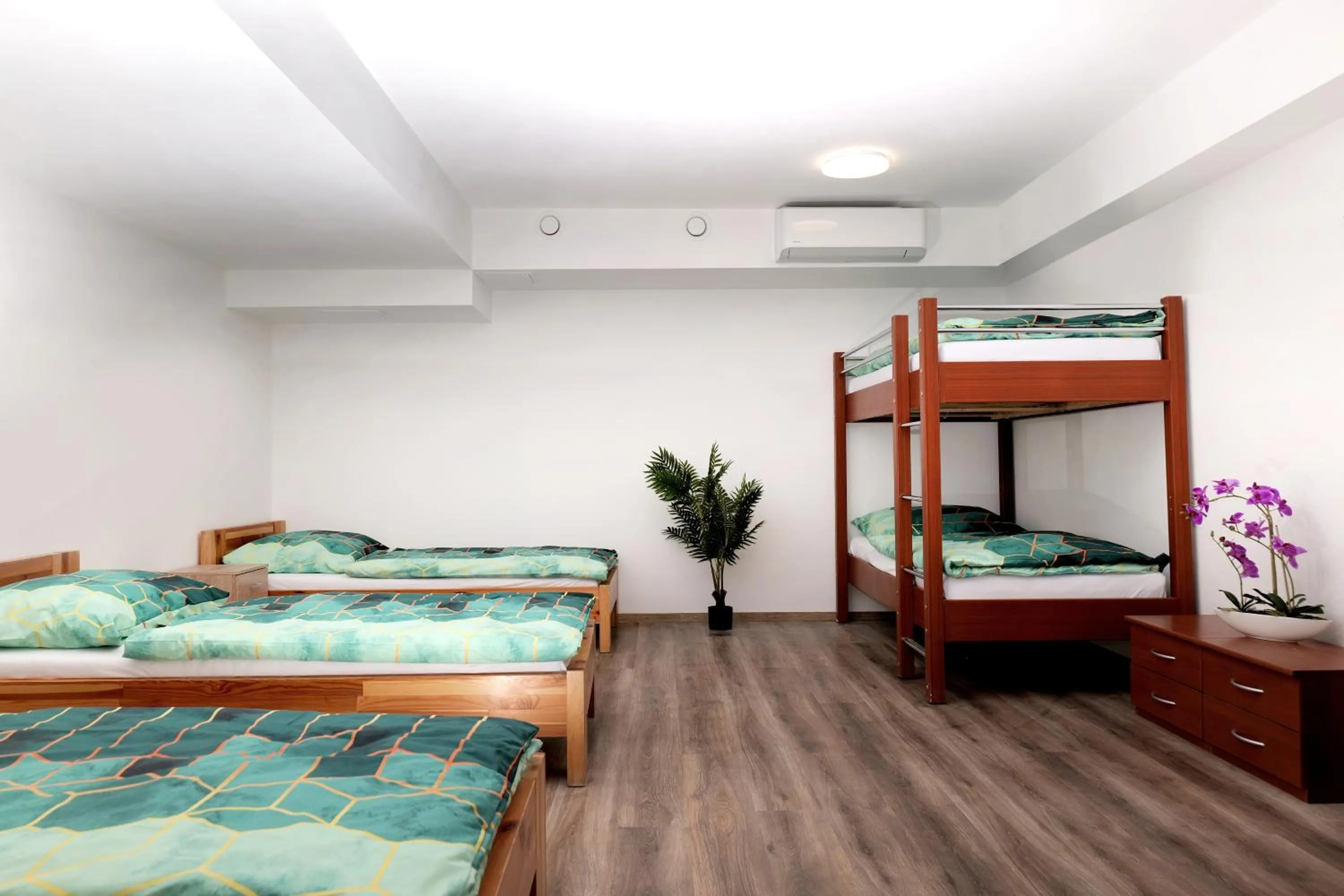 Bed in Hostel Old Town