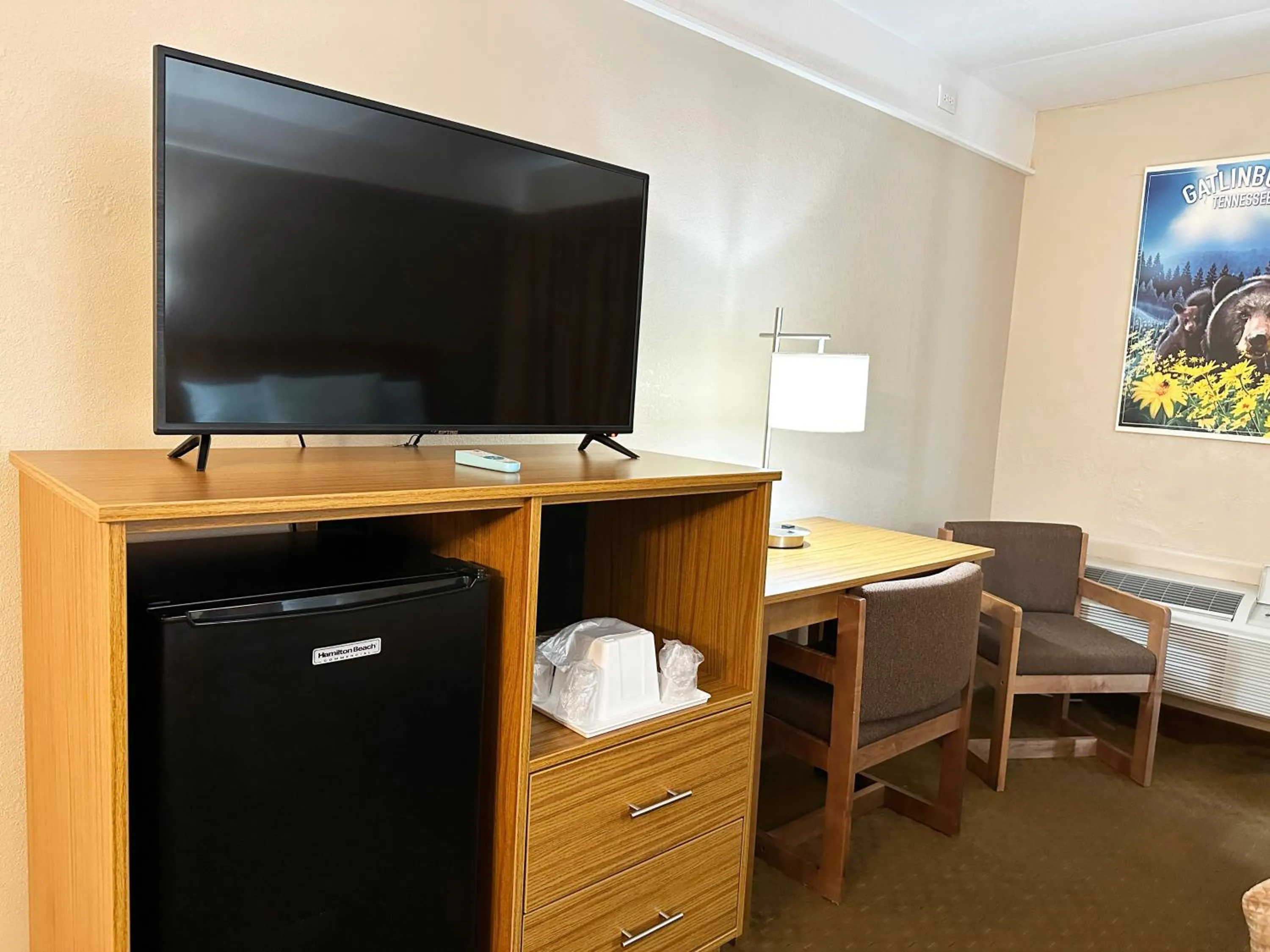 TV and multimedia in Sidney James Mountain Lodge