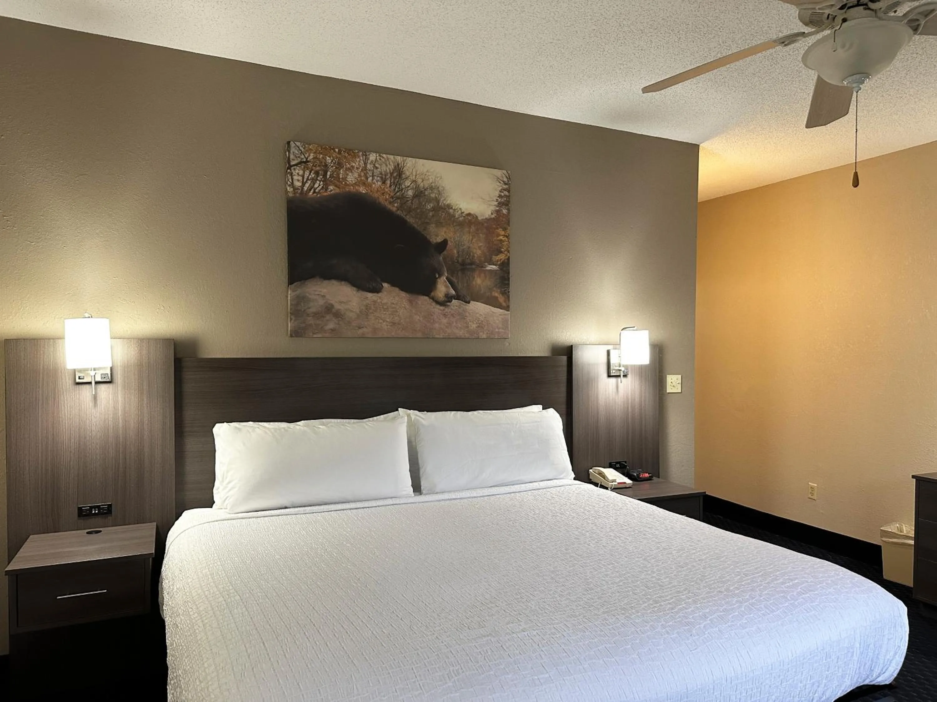Bedroom, Bed in Sidney James Mountain Lodge