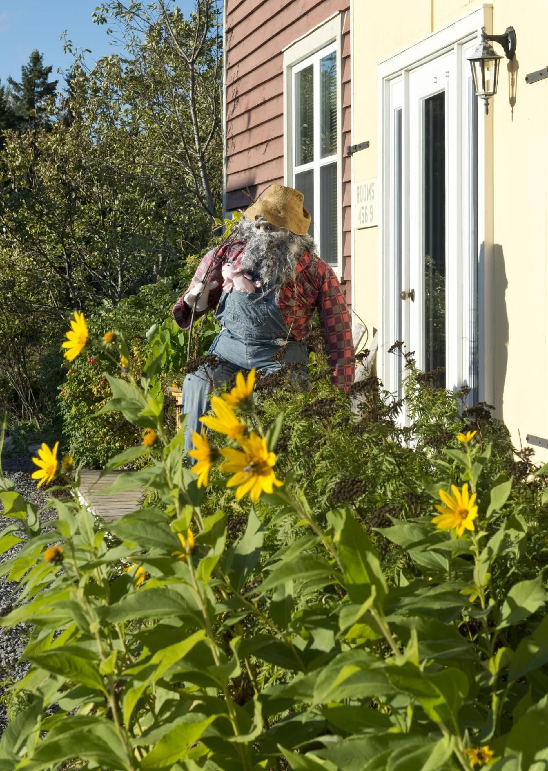 Balcony/Terrace in Bayview Pines Country Inn B&B