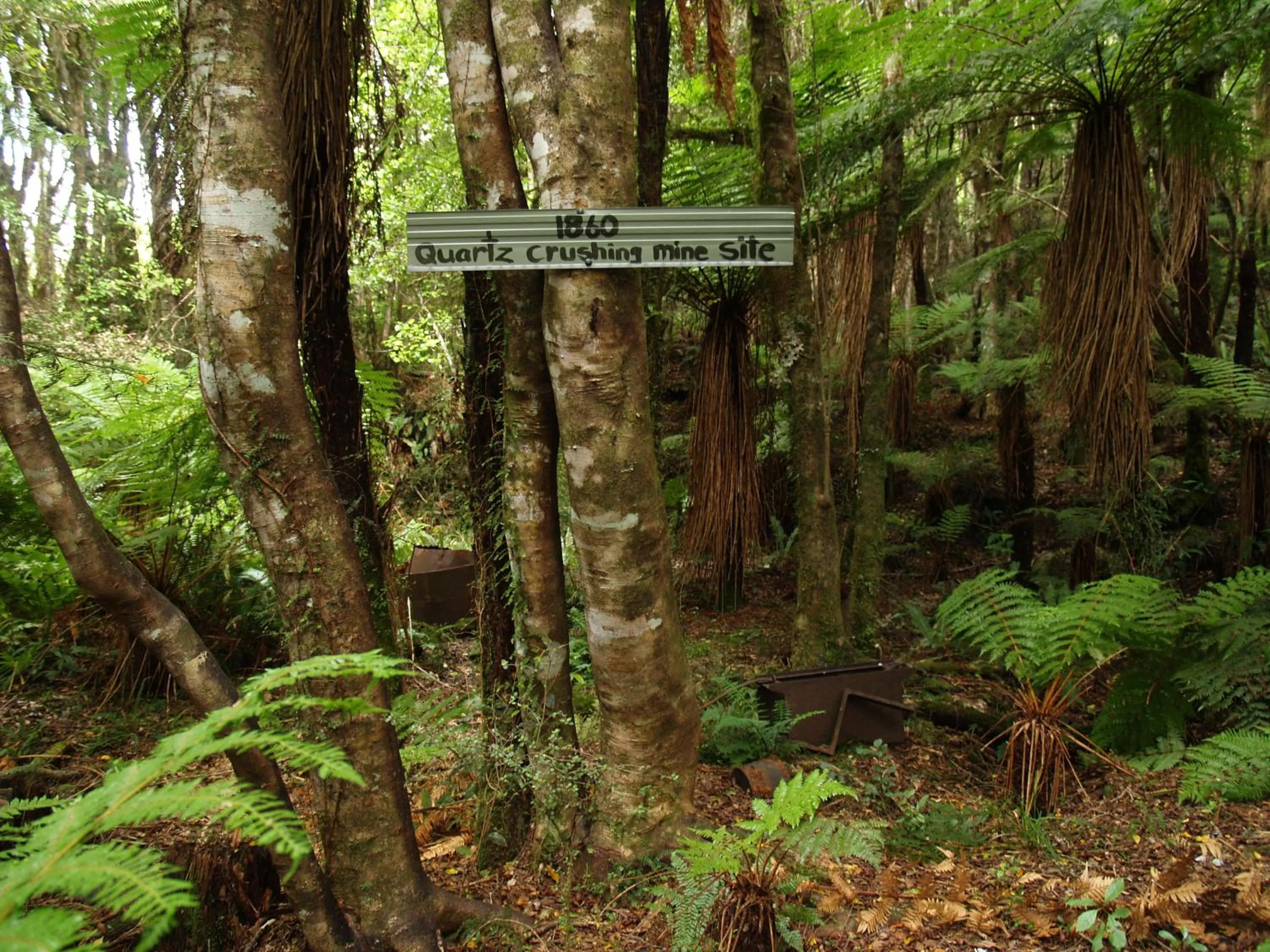 Natural landscape in Jackson's Retreat Alpine Holiday Park
