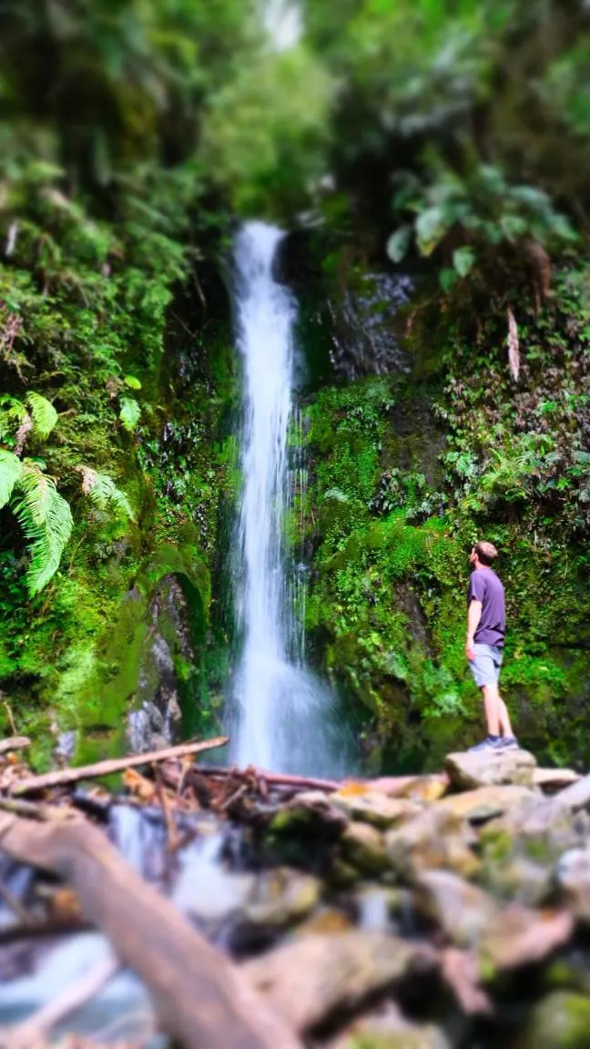 Nearby landmark in Jackson's Retreat Alpine Holiday Park