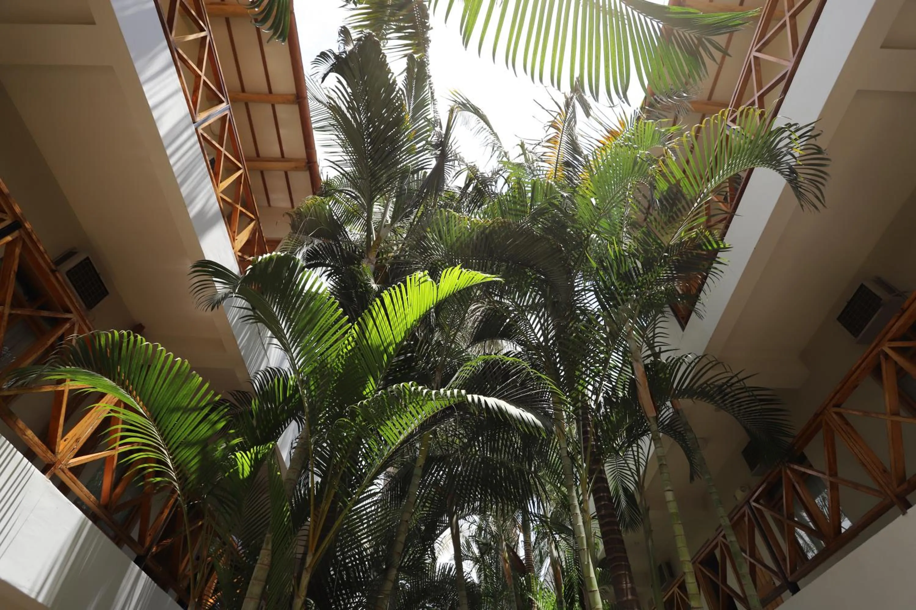 Natural landscape in Casa Andina Standard Nasca