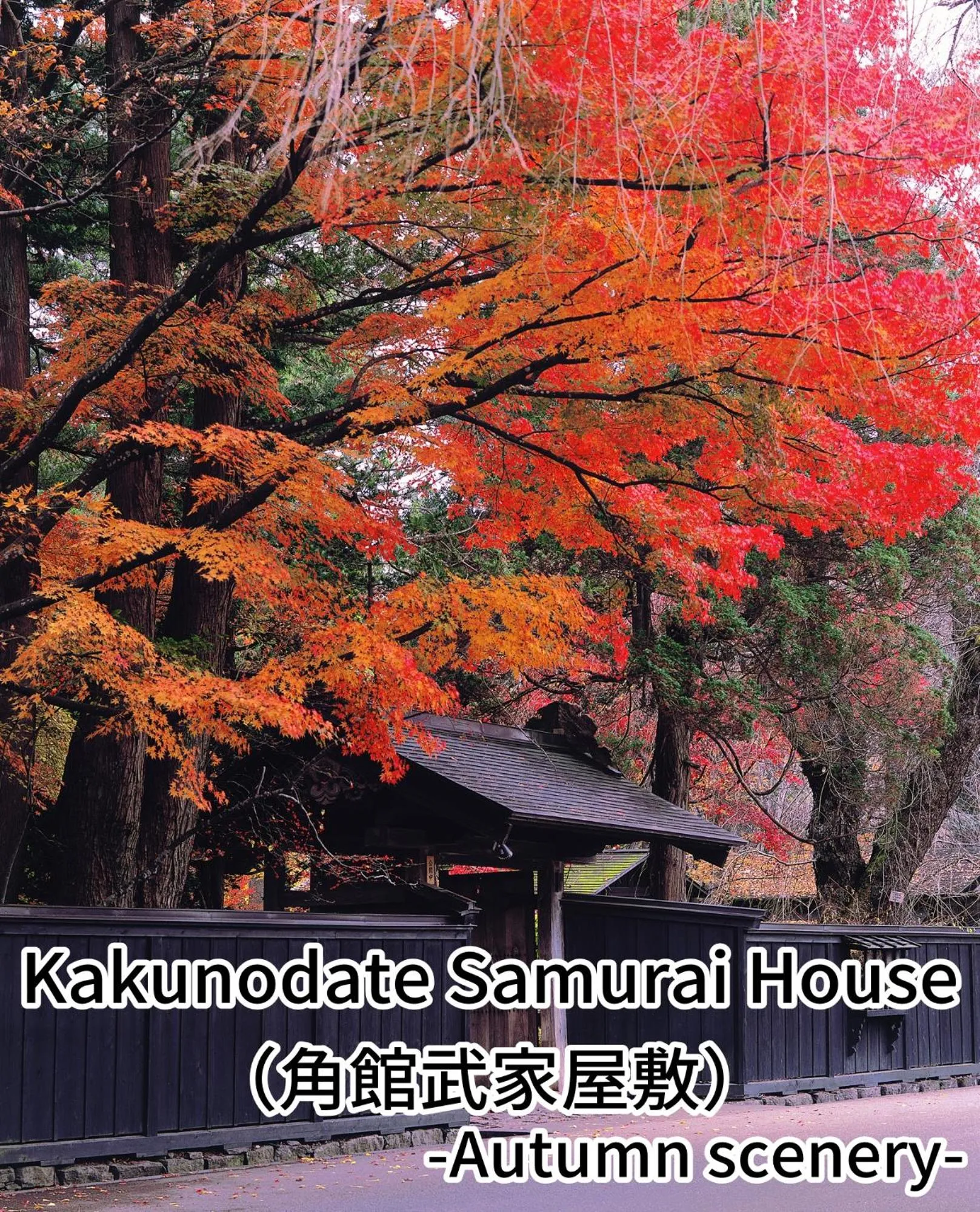 Nearby landmark in Onsen Yupopo