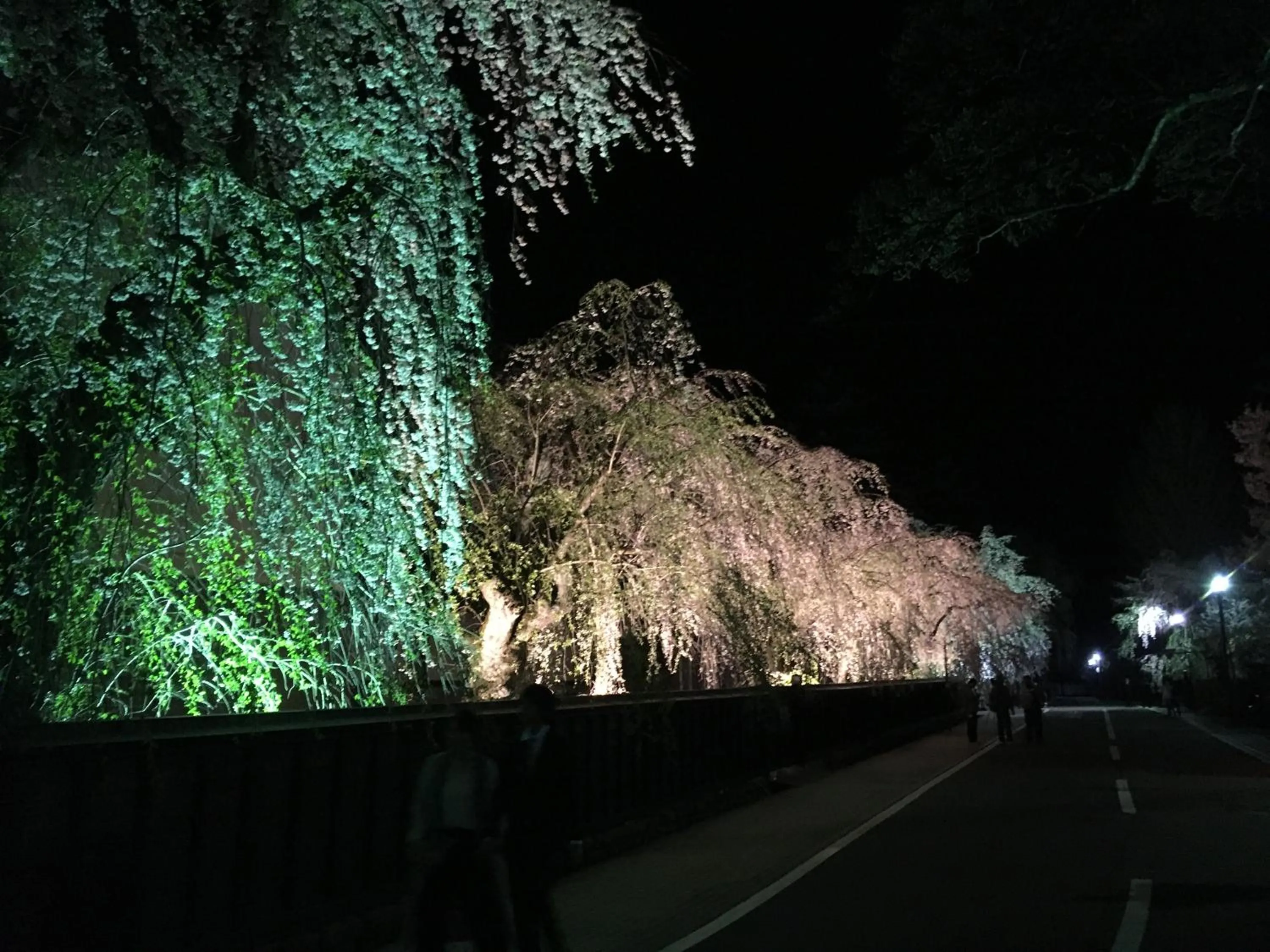 Nearby landmark in Onsen Yupopo