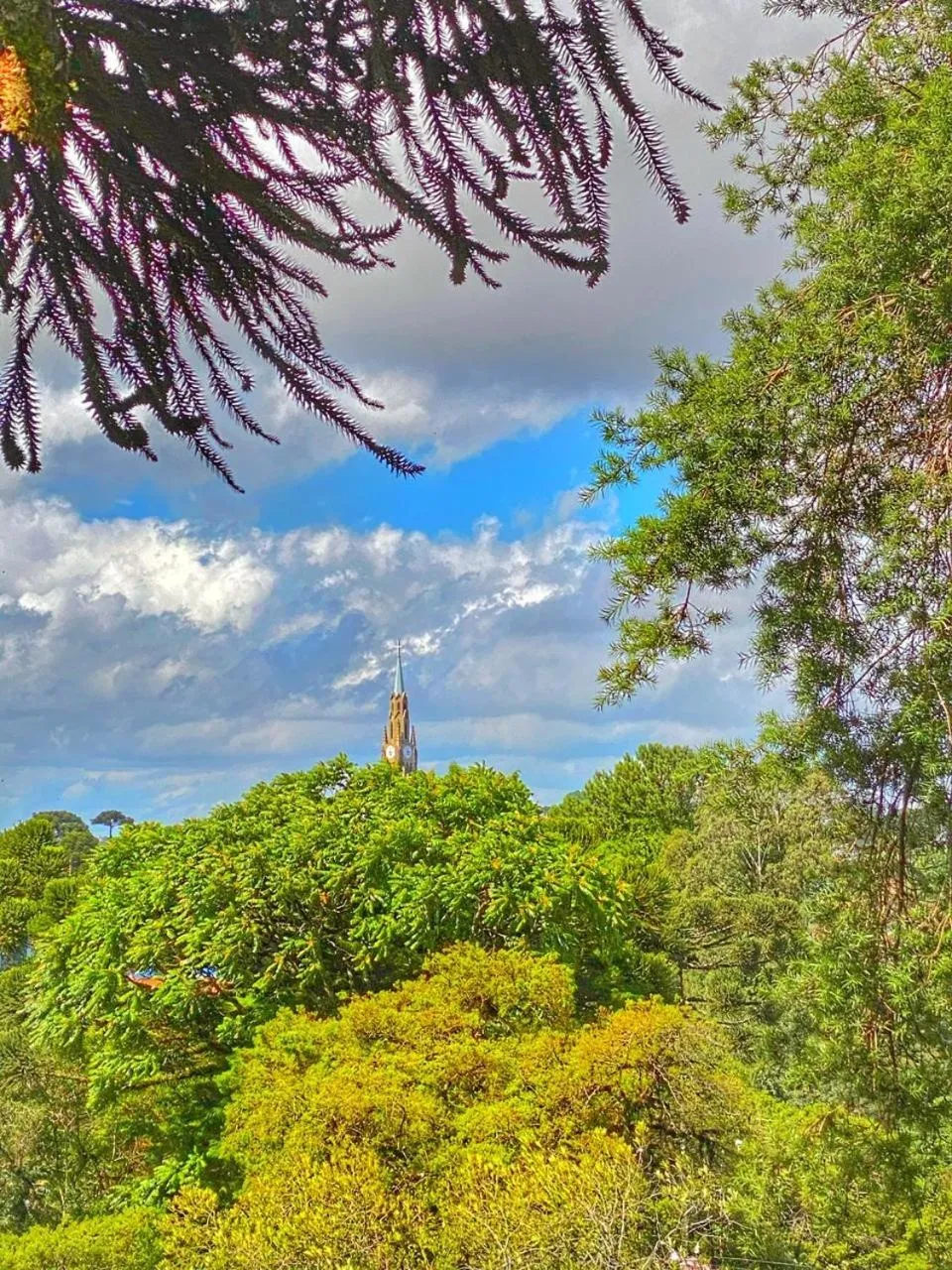 Natural landscape in Pousada Flor De Canela