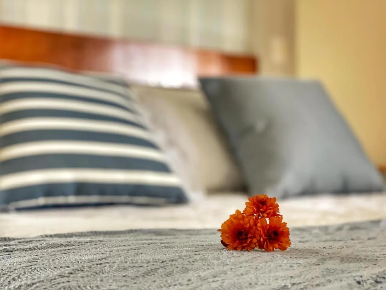 Bed in Pousada Flor De Canela