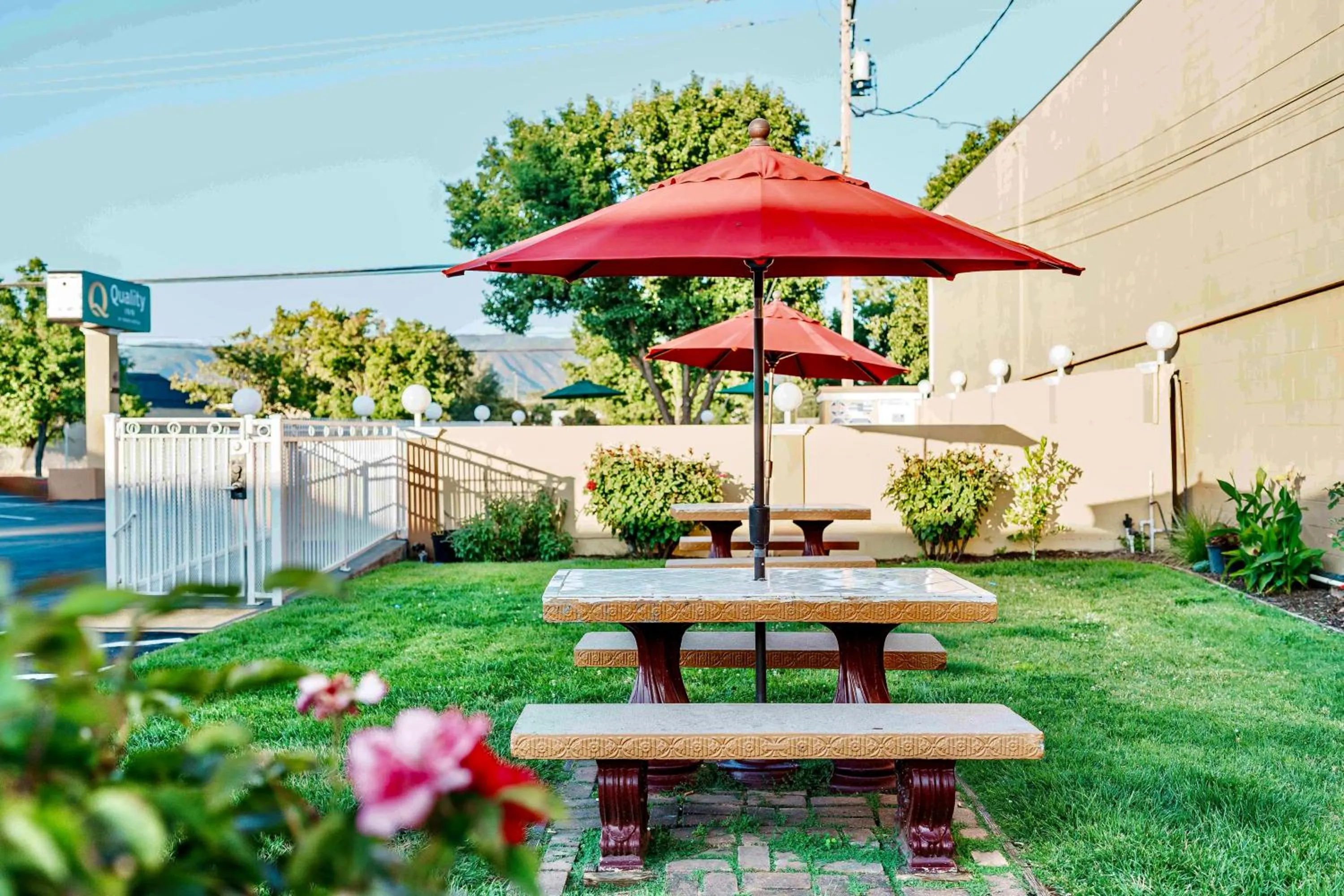Garden view in Quality Inn Ukiah