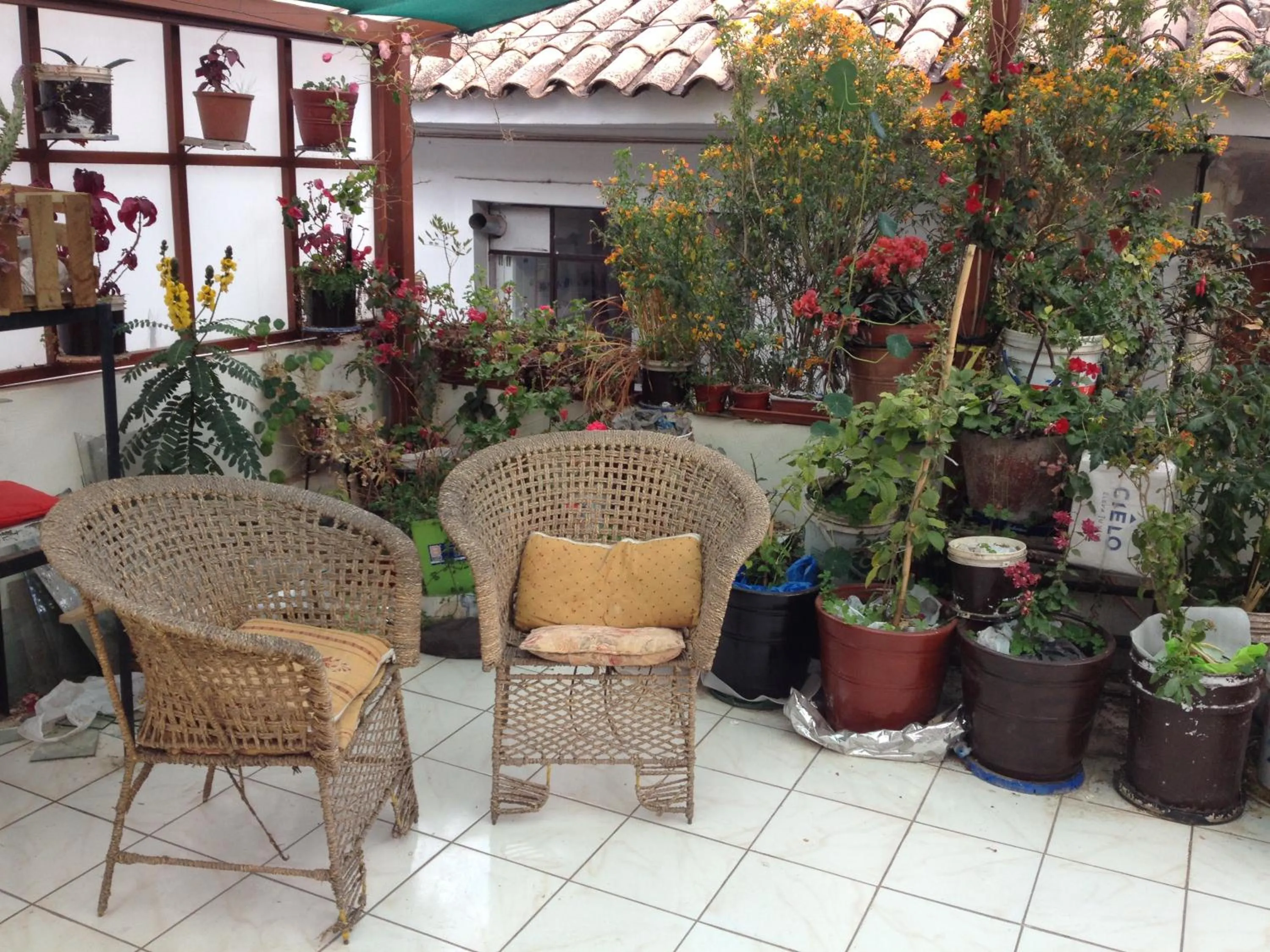 Garden in Casa de Mama Cusco 2-The Ecohouse