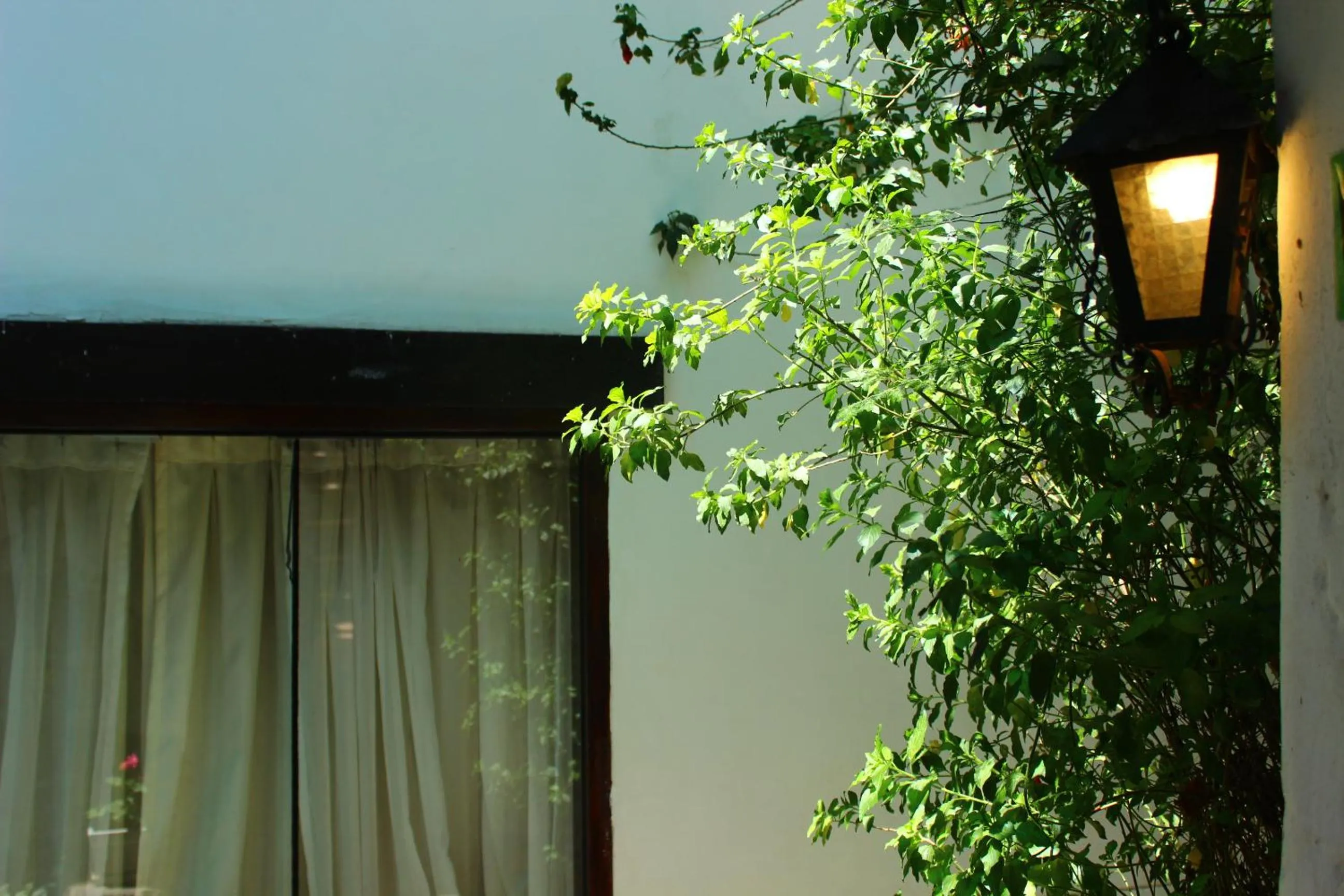 Garden in Casa de Mama Cusco 2-The Ecohouse