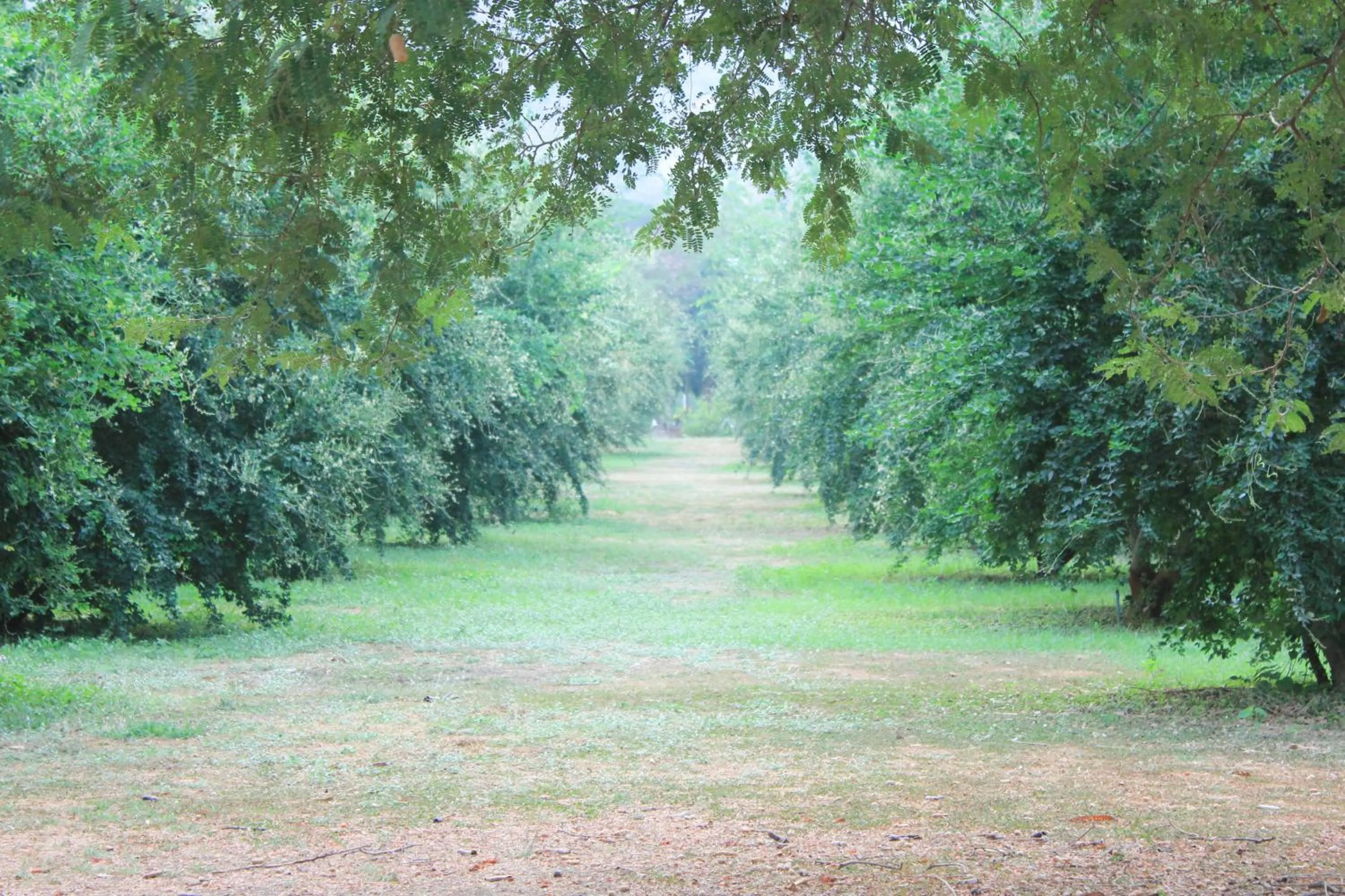 Property building in HOME@HOSTEL KANCHANABURI