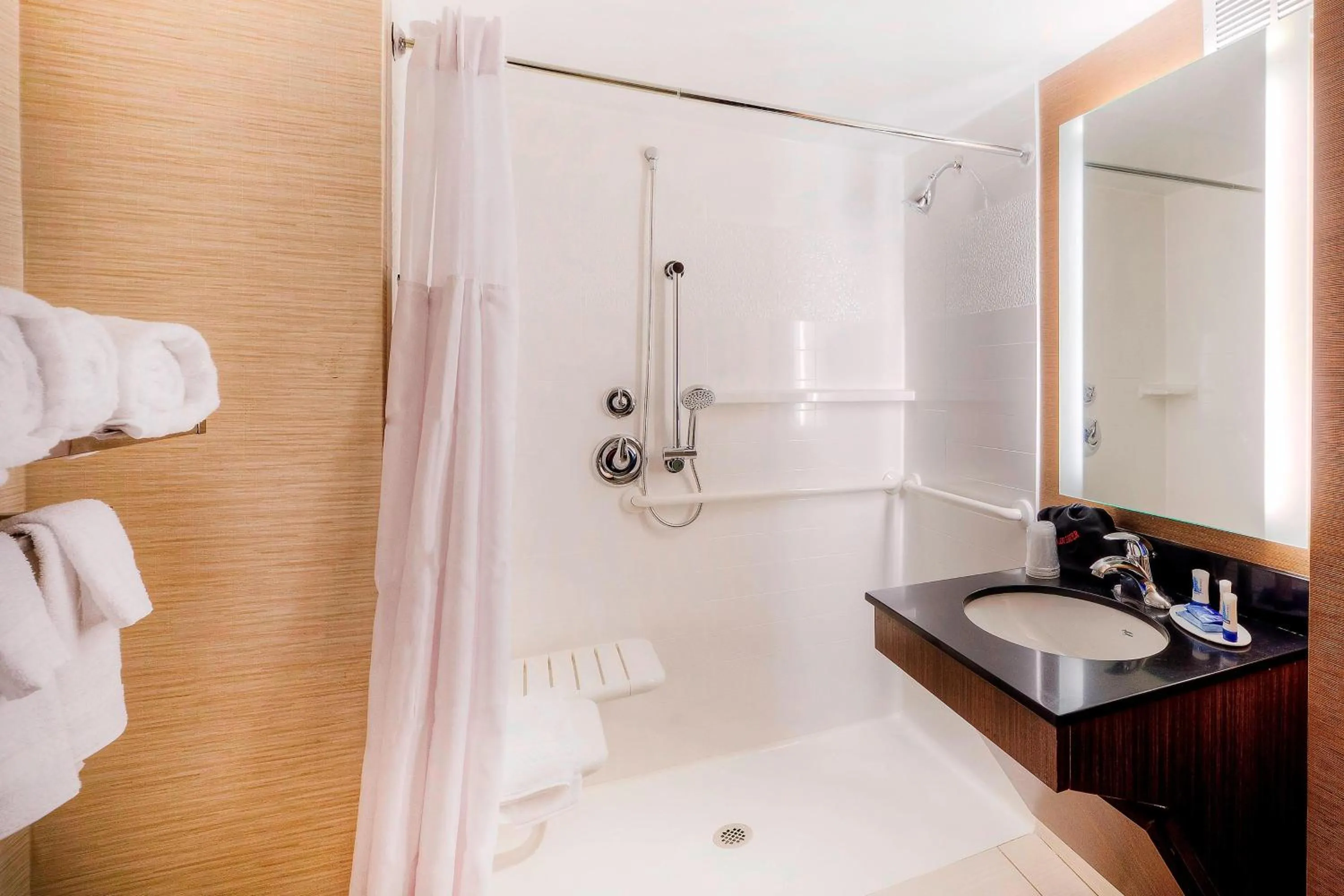 Bathroom, Bed in Fairfield Inn & Suites by Marriott Winston-Salem Downtown