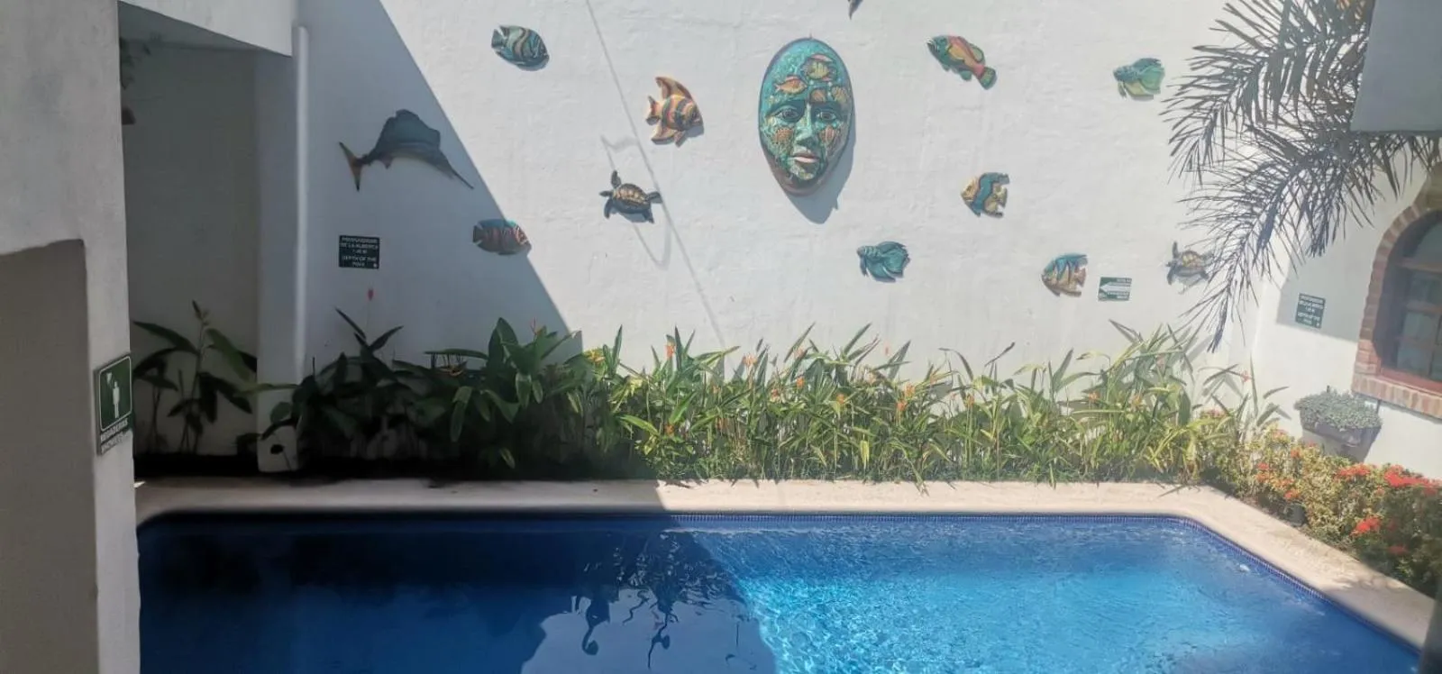 Swimming pool in Villas Amalia Hotel